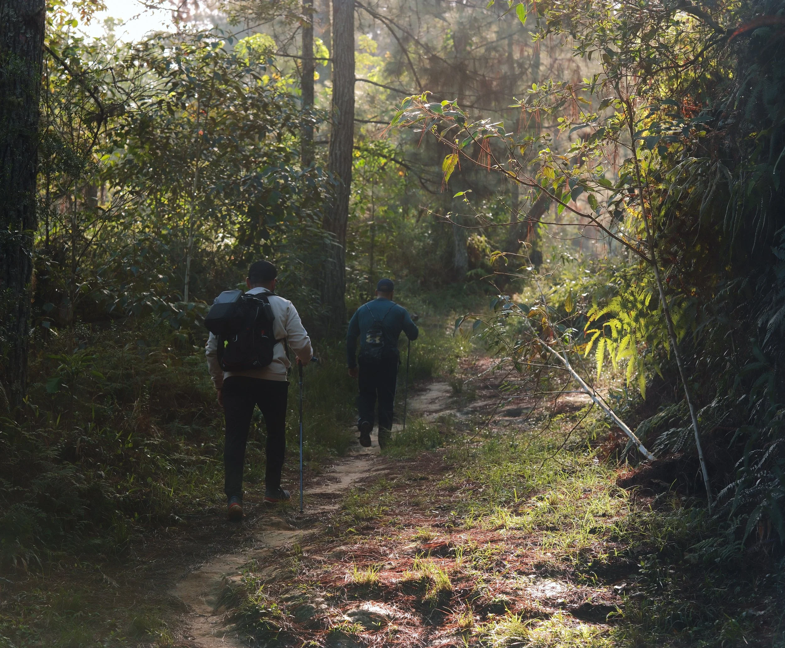 Dos personas caminando por un sendero en el bosque, rodeados de vegetación.