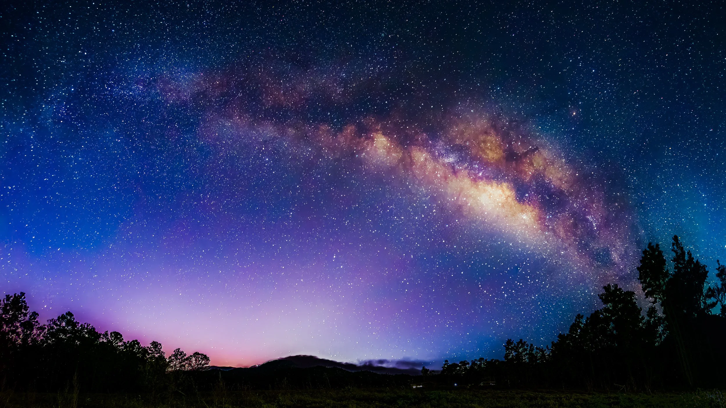 Vía Láctea visible en el cielo nocturno sobre un paisaje con árboles oscuros en el horizonte.
