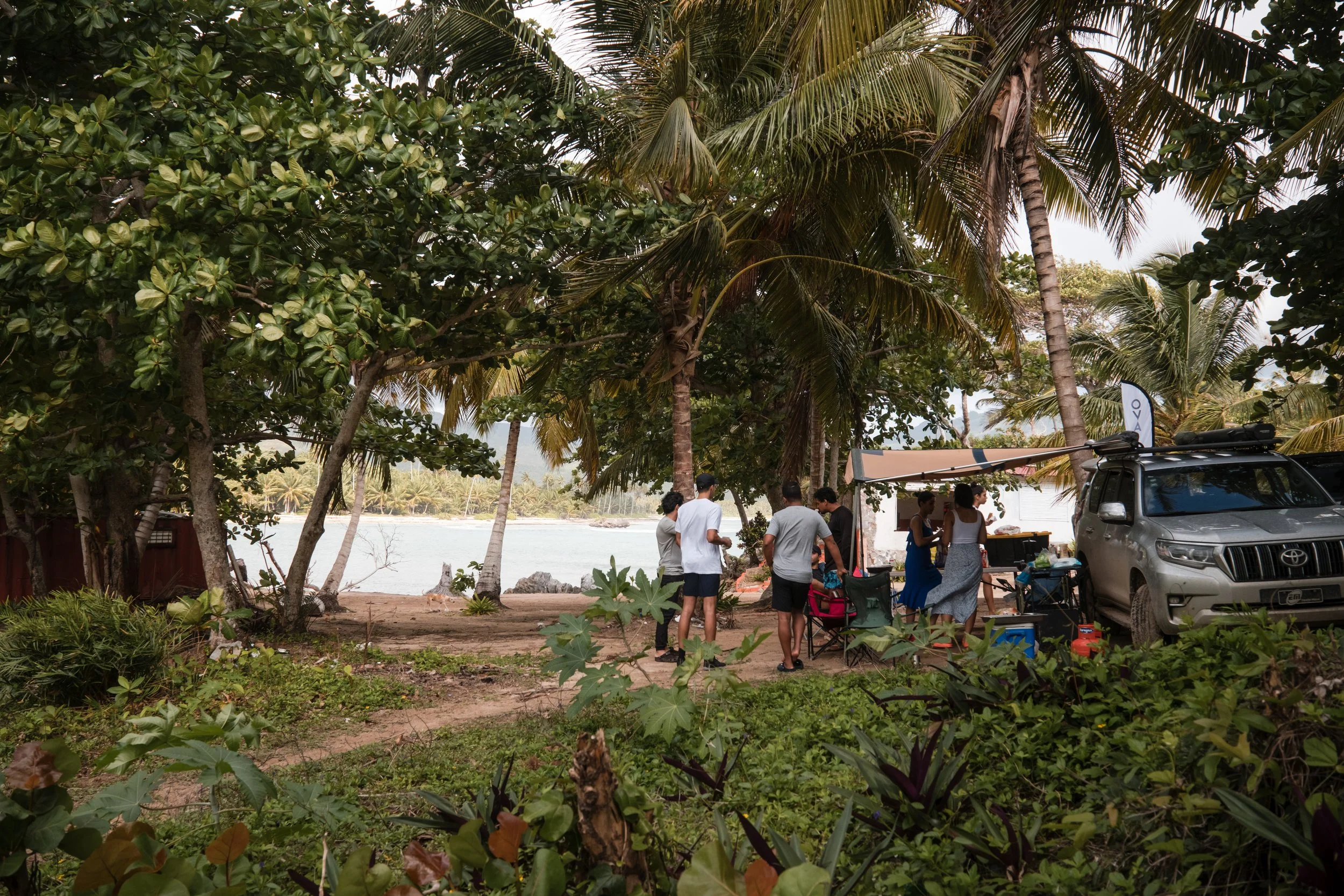 Personas reunidas bajo palmeras junto al mar, con una camioneta estacionada, en un entorno tropical.