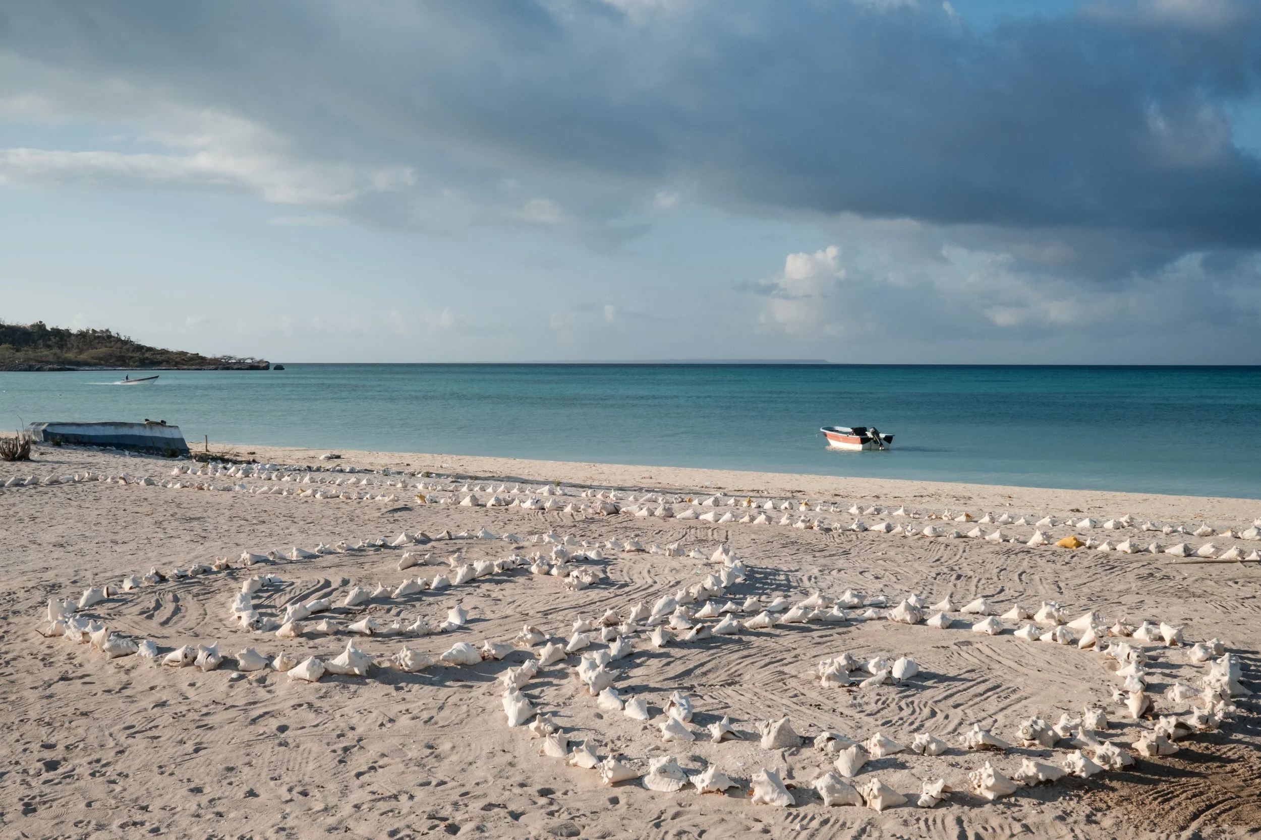 Playa con conchas en la arena y una lancha en el mar.