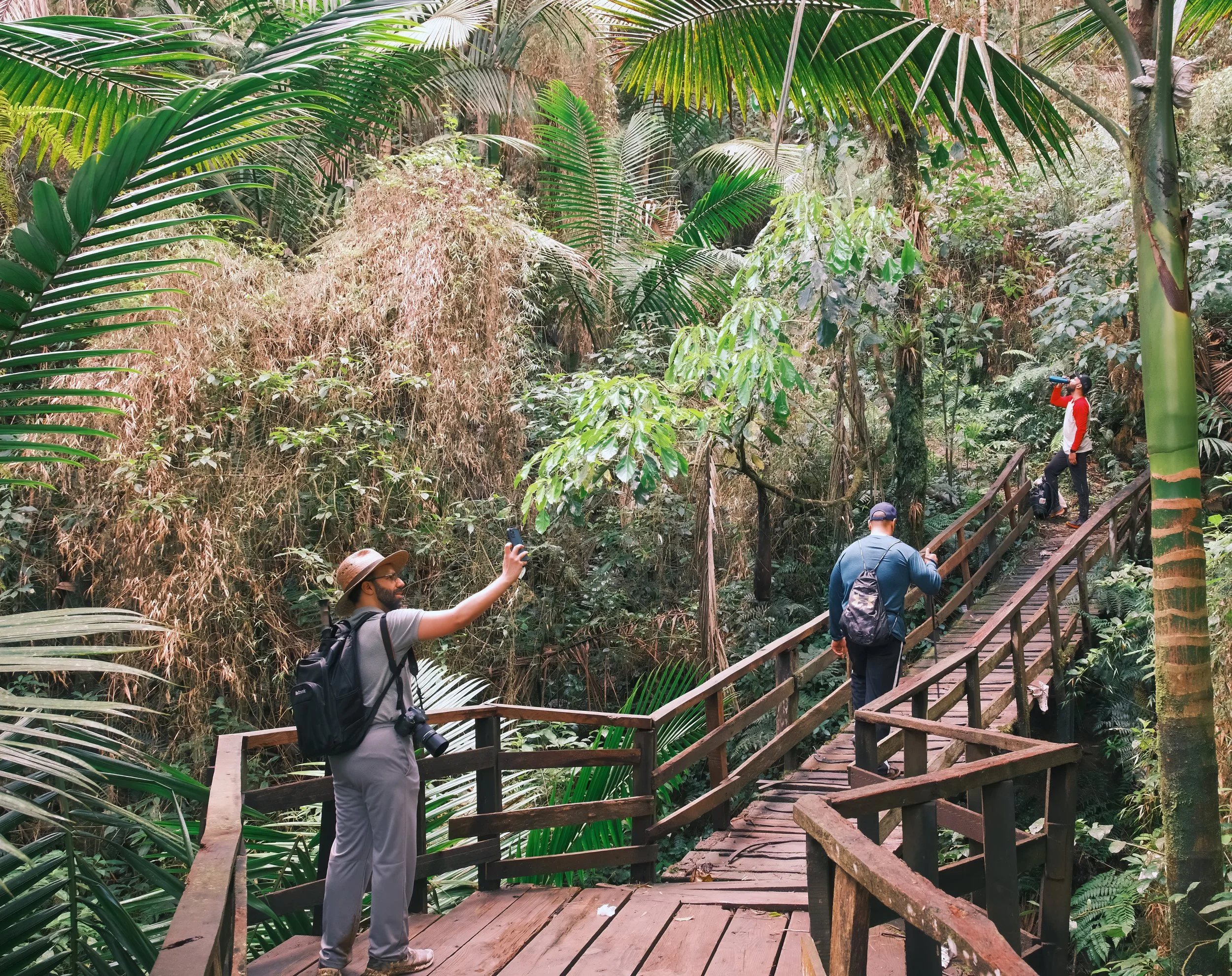 Tres personas caminando por un puente de madera en medio de la selva, rodeadas de plantas tropicales y árboles, una de ellas tomando una foto con el celular.