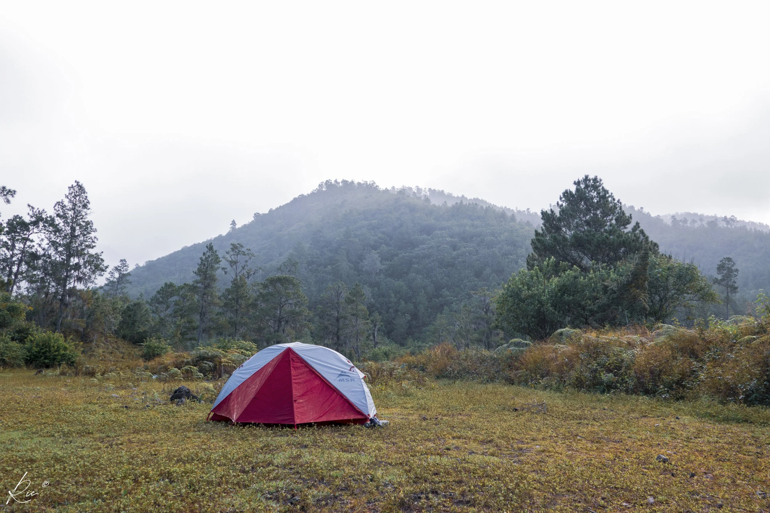 Tienda de campaña roja y gris en un campo abierto frente a una montaña cubierta de árboles y neblina, con vegetación alrededor.