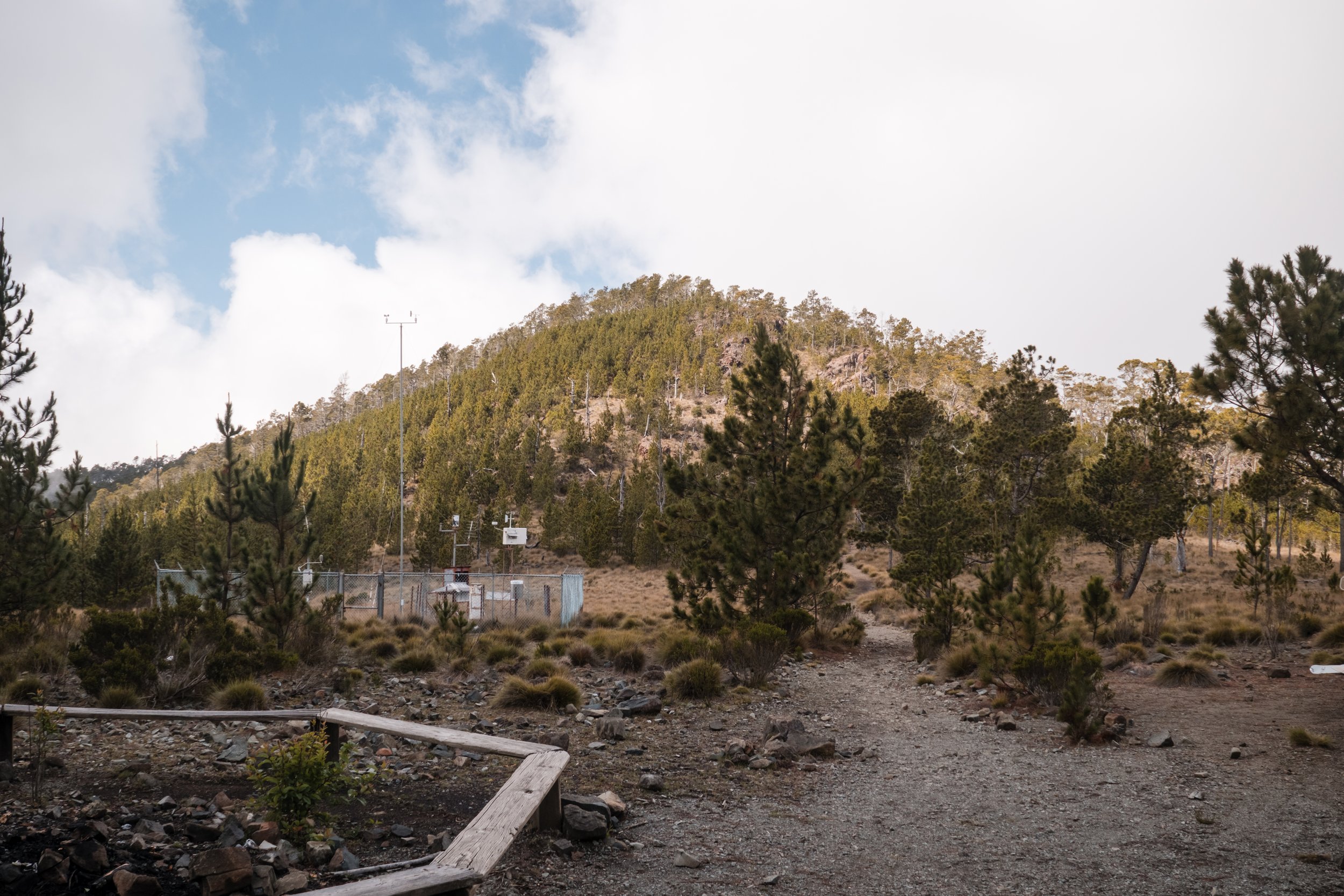 Camino de tierra hacia una colina cubierta de árboles y arbustos, cielo parcialmente nublado.