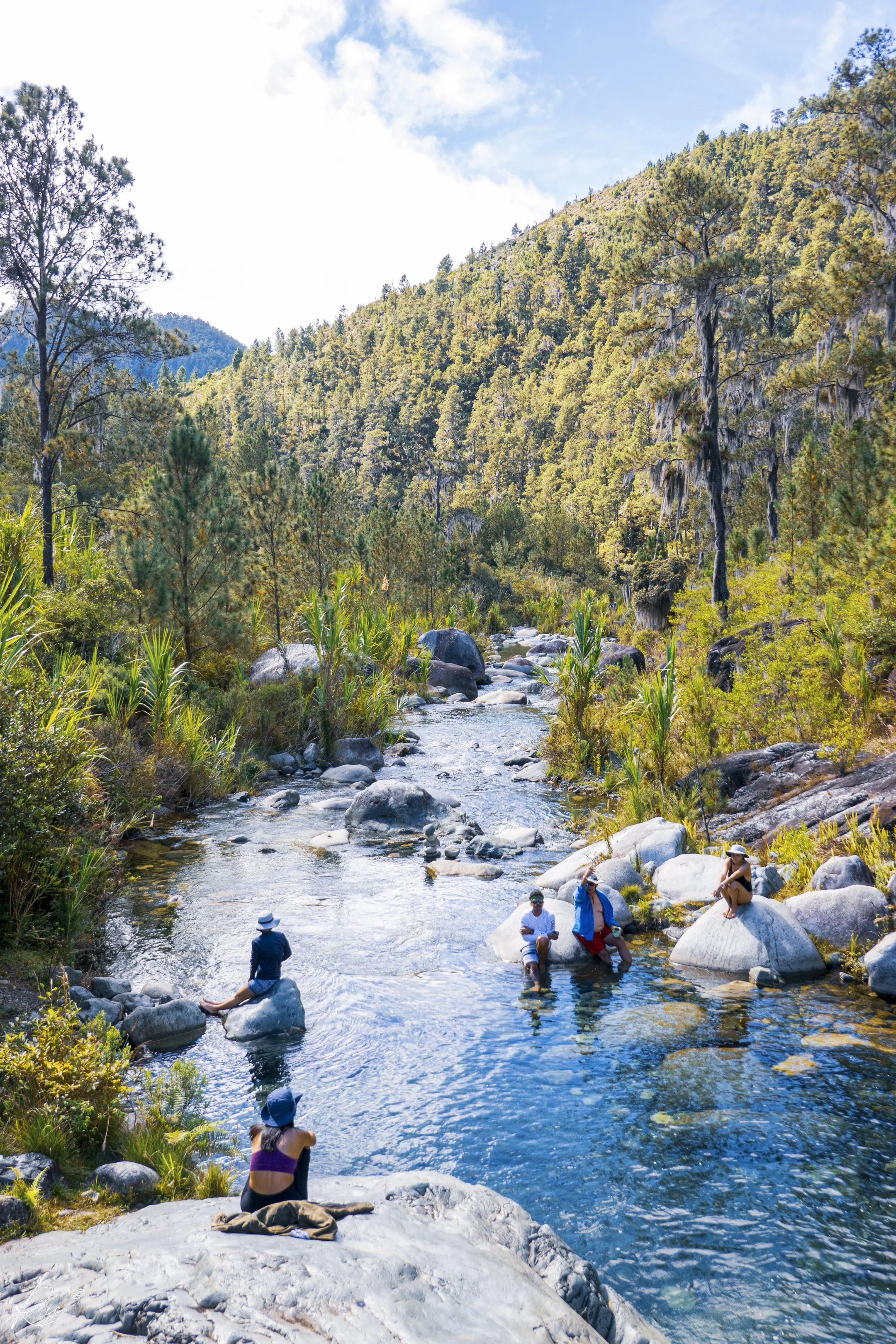 Un grupo de personas disfruta de un río rodeado de un bosque montañoso con vegetación abundante y cielos despejados.