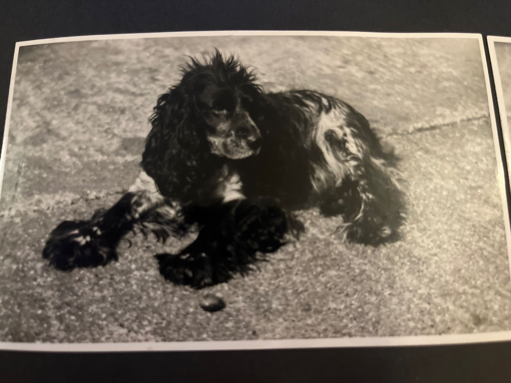 Courtesy of Alex Philpott circa 1945