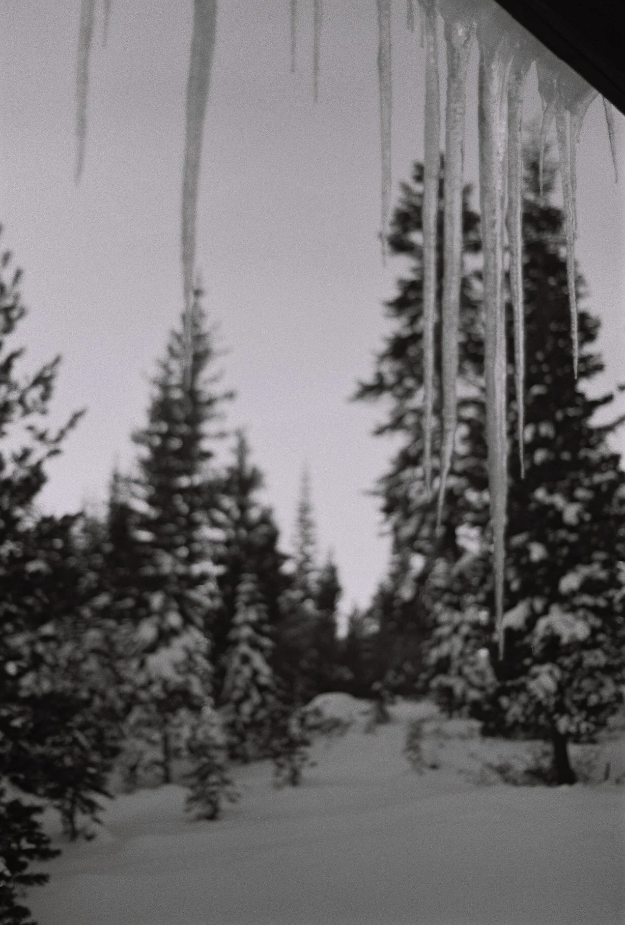 R1-06586-0017.jpg