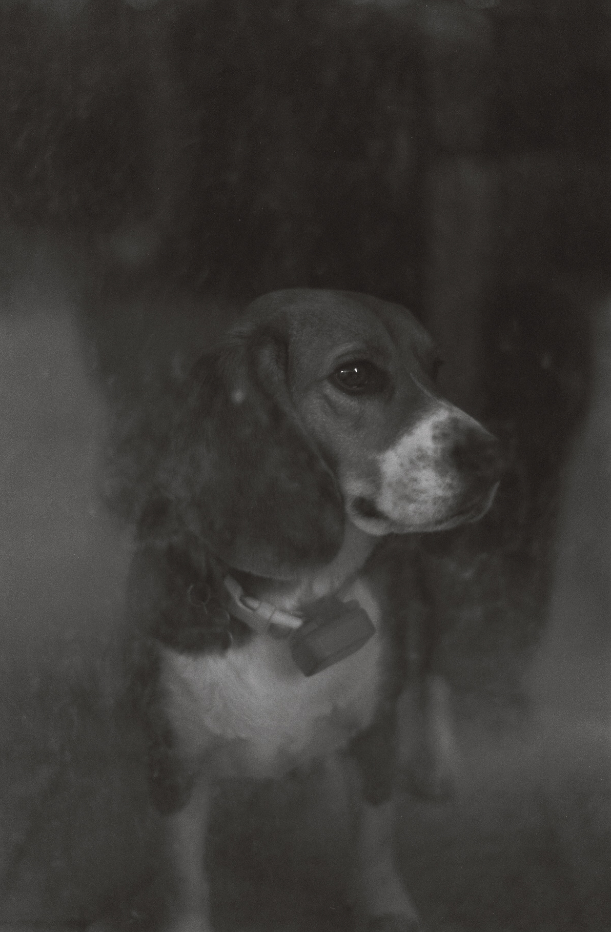 R1-06586-0032.png