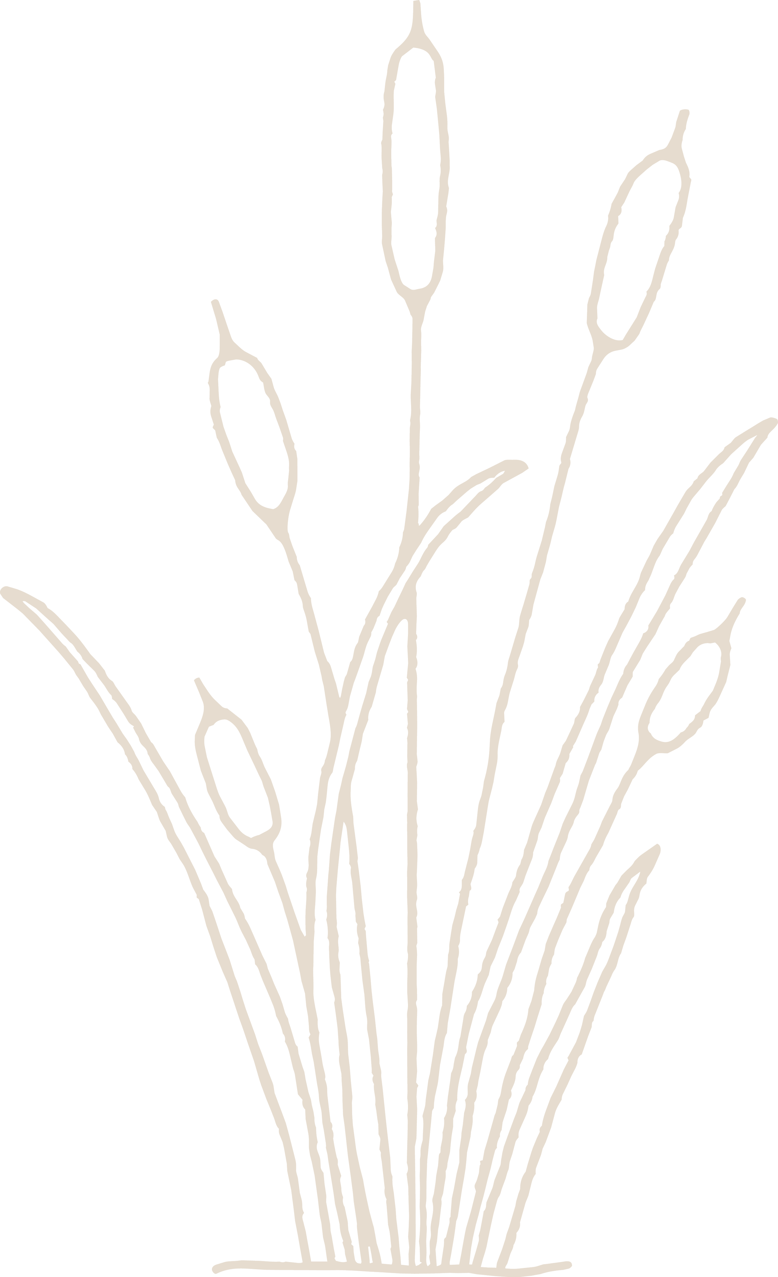 A minimalist line drawing of tall grass or reeds against a black background.