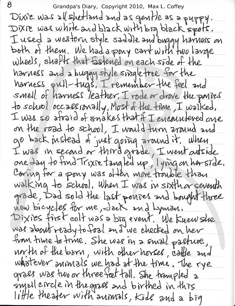 GrandpasDiary2010_008.jpg