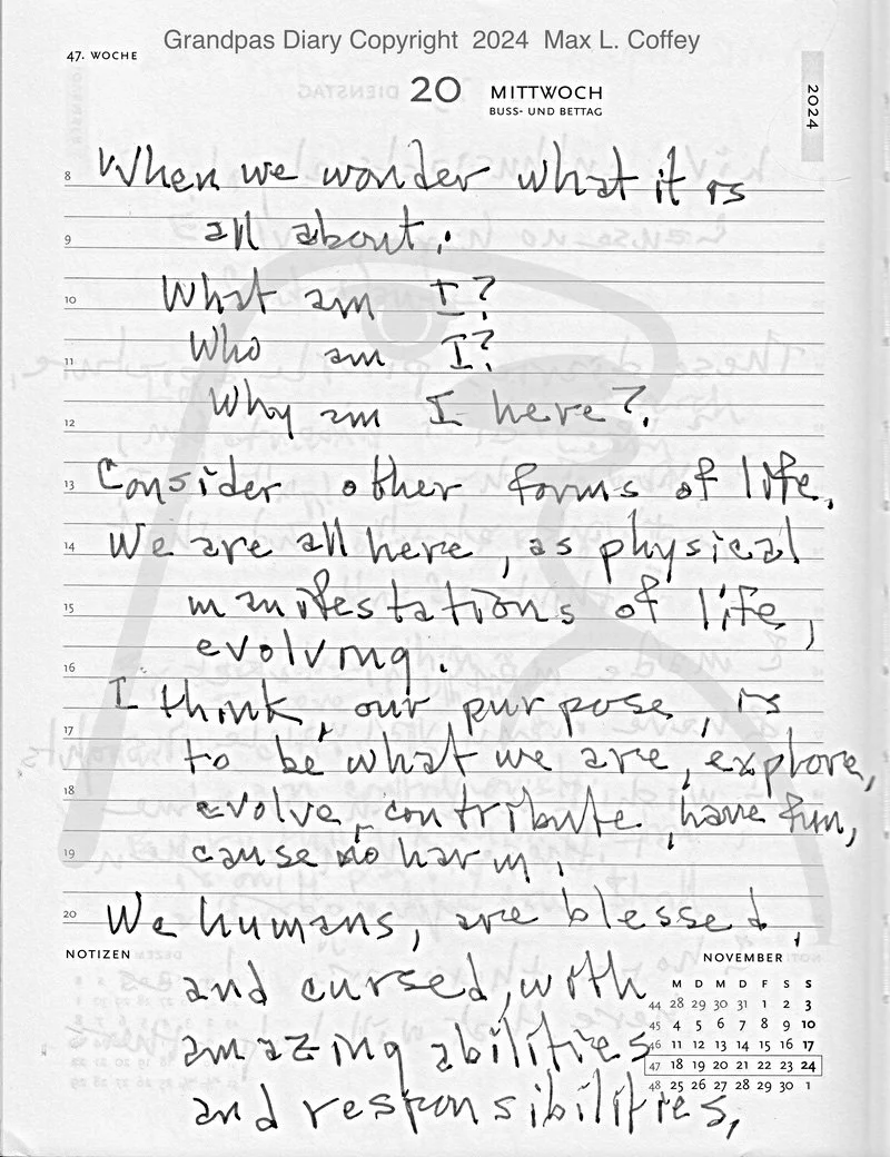 GrandpasDiary2024_1120.jpg