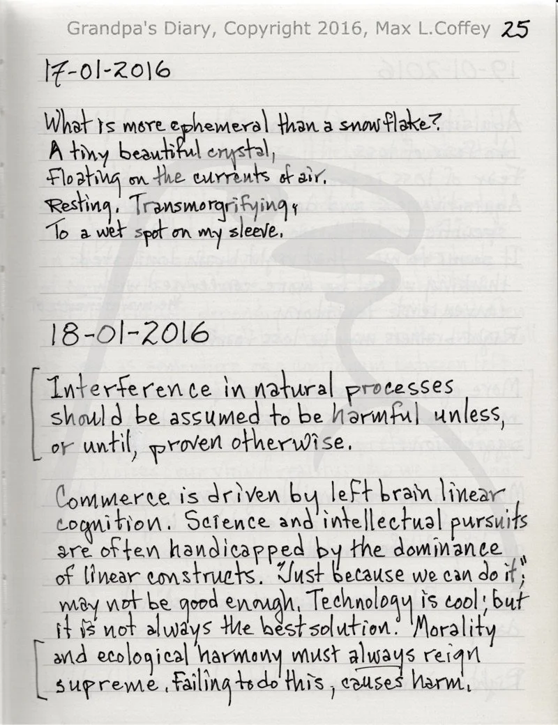 GrandpasDiary2016_025.jpg