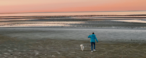 A person walking a dog along a beach at sunset, with calm waters and an orange-pink sky.