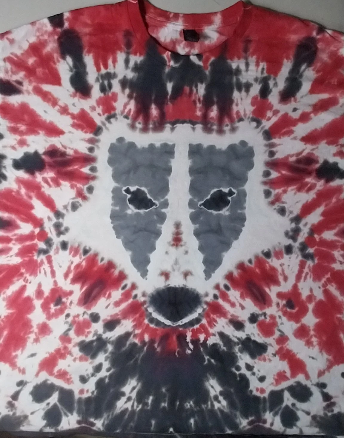 Wisconsin badgers collection