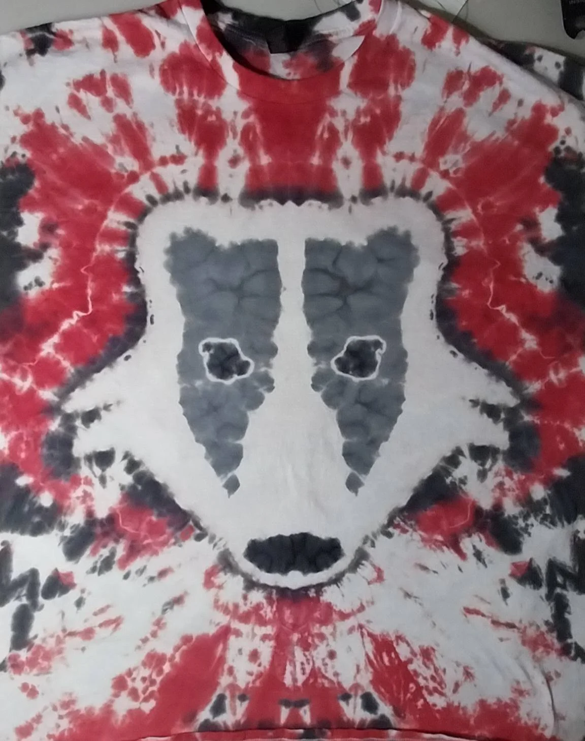 480965698_702419792110632_2350346123136336985_n.jpg
