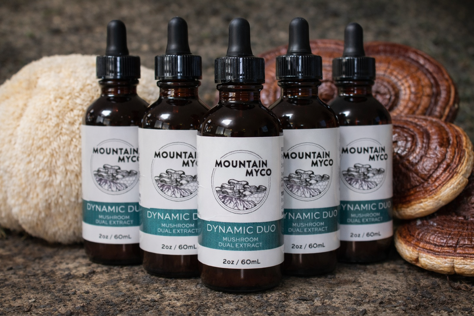 Dynamic Duo- Reishi & Lion's Mane Dual Extract