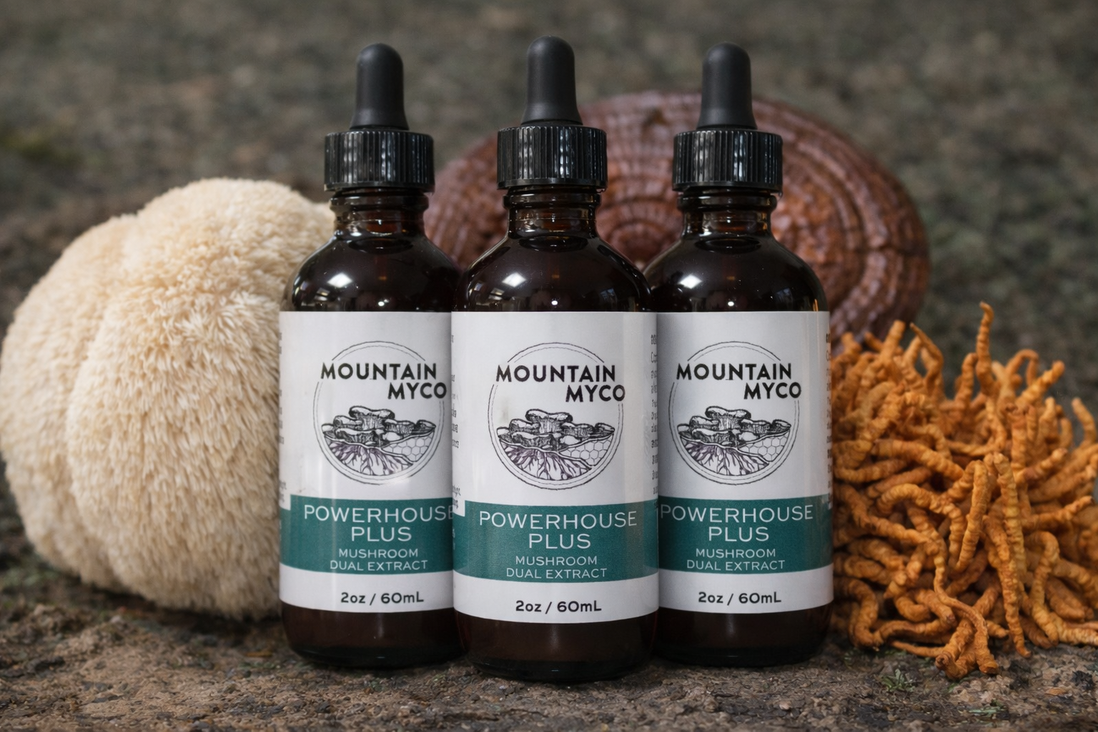 Powerhouse Plus – Reishi, Lion’s Mane & Cordyceps Extract