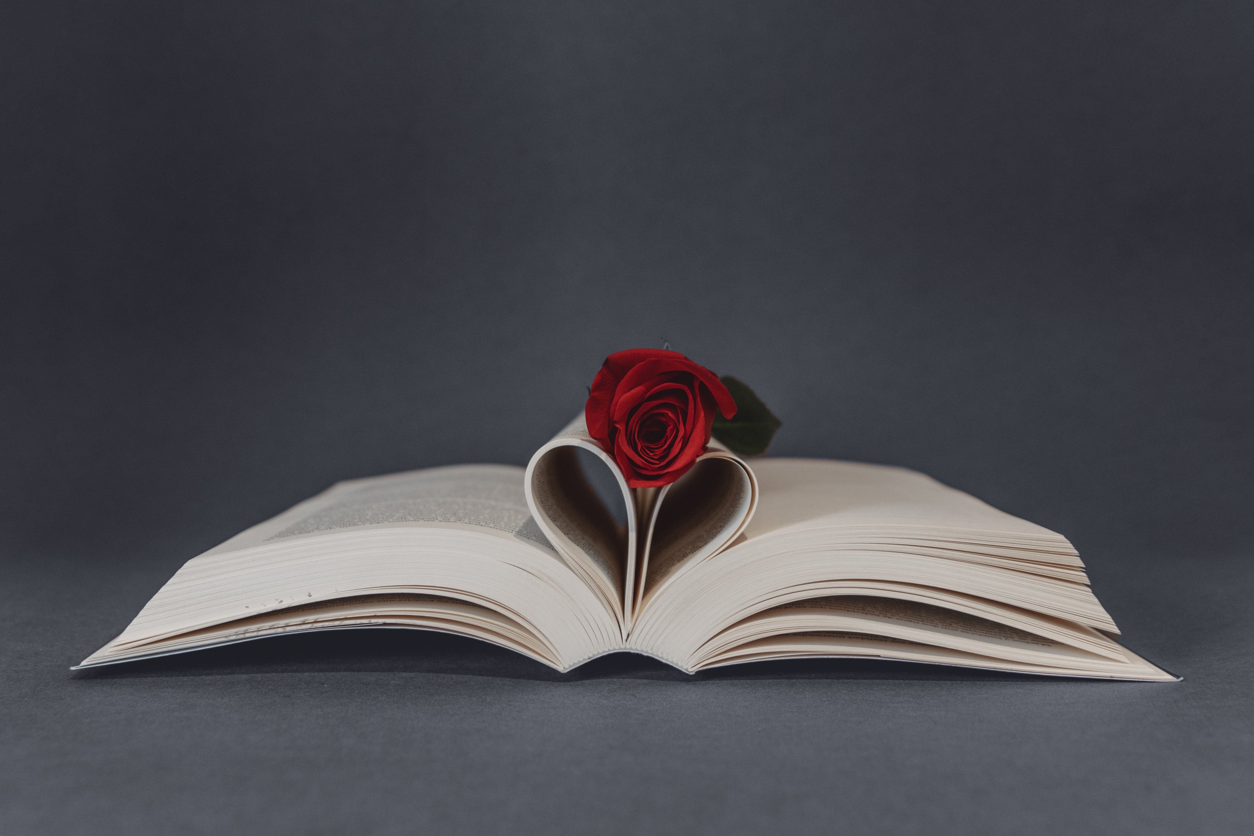 The Secret Lantern Reads: Romance