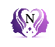 NeuroNuance Inc. 