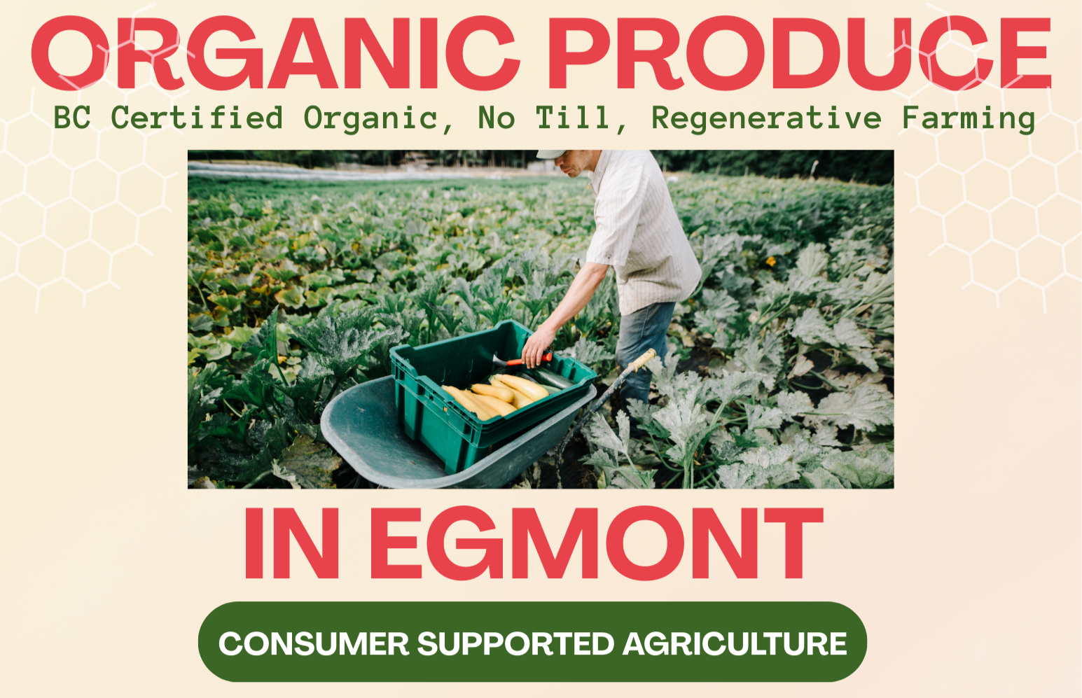 Organic Produce Delivery in Egmont