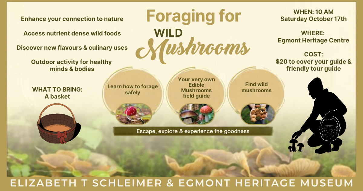 Foraging For Wild Mushrooms