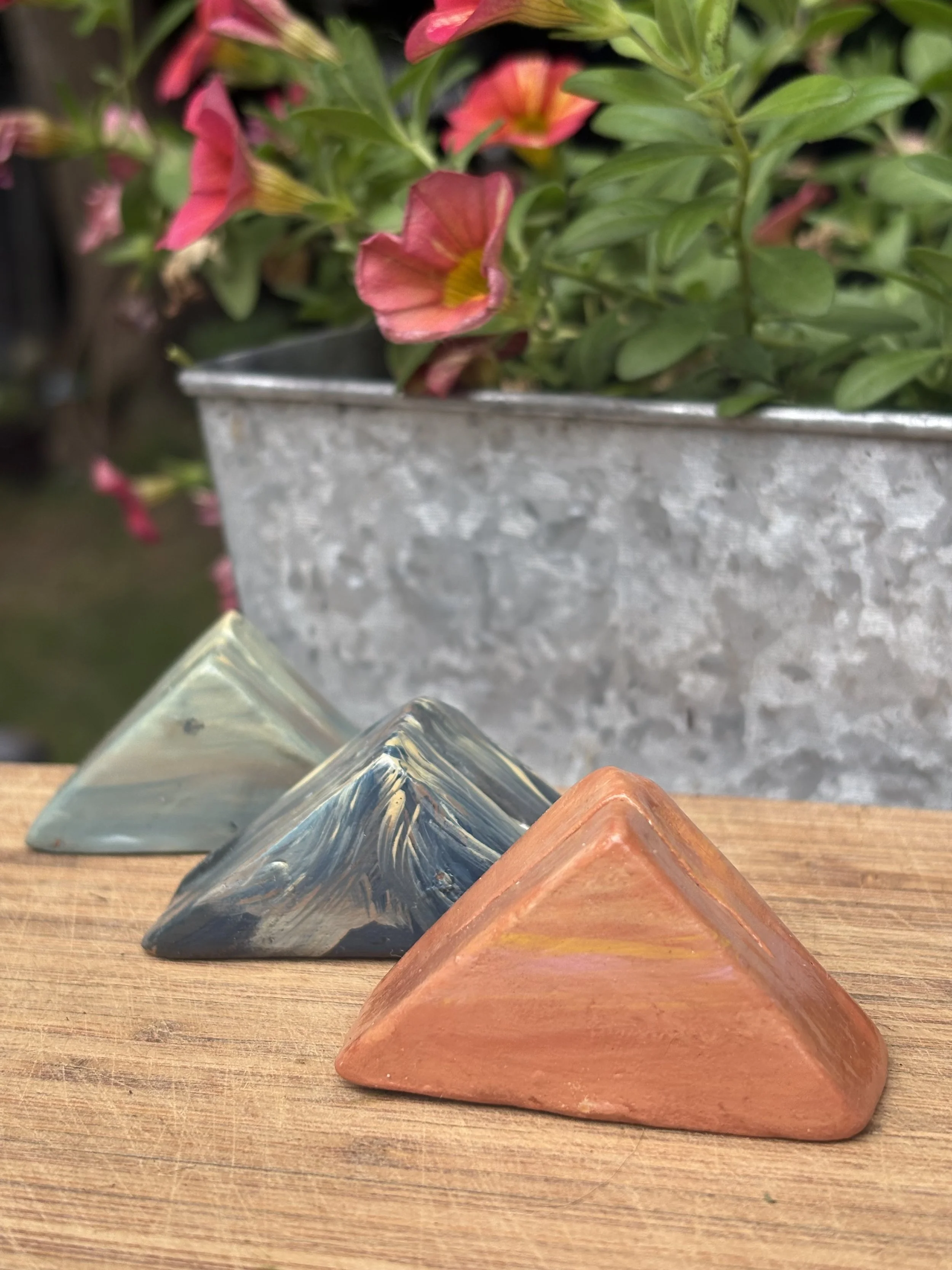 Polaroid Pics Holder ~ Mountains