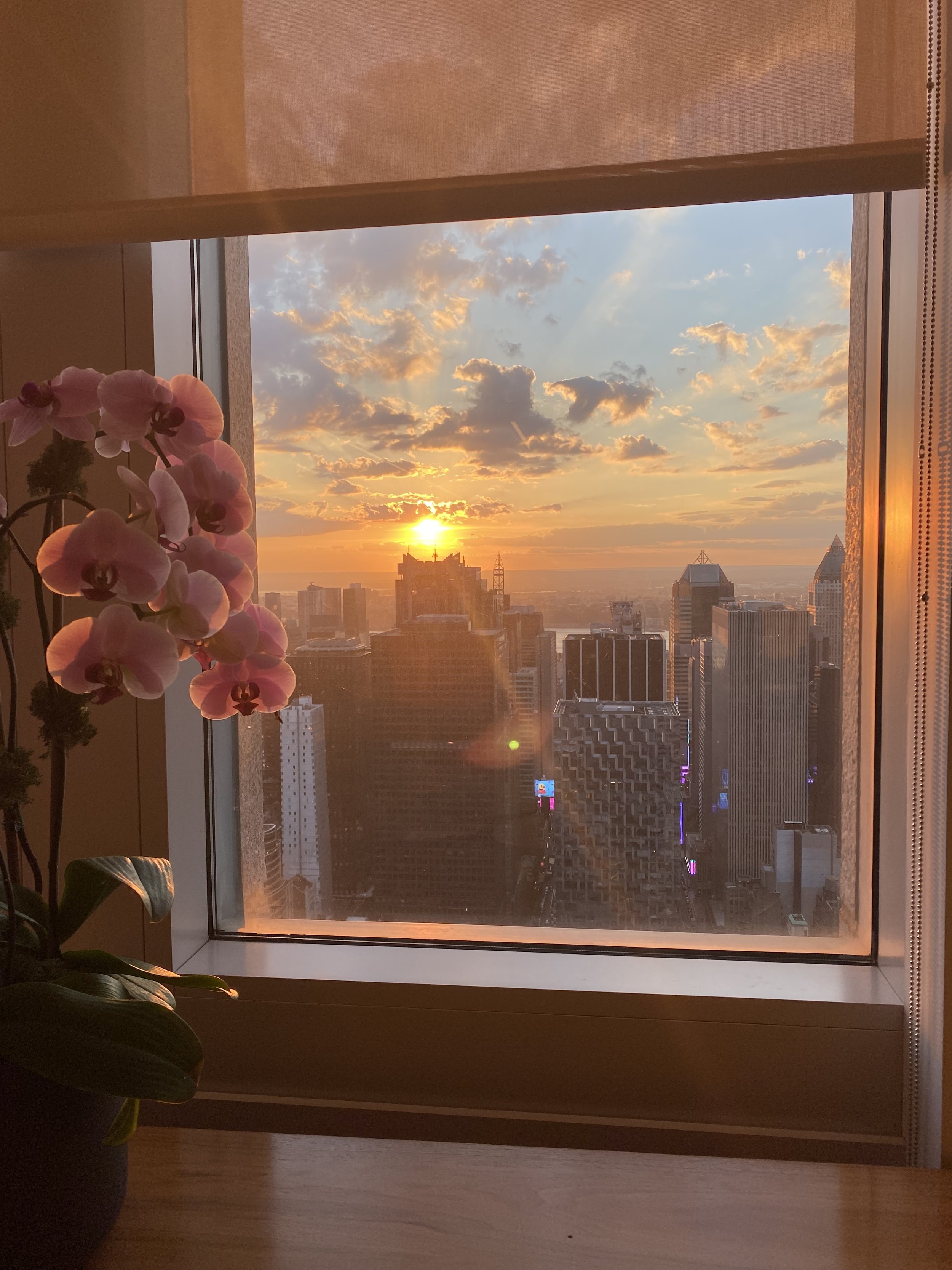 No es falta de disciplina. Es tu sistema nervioso.