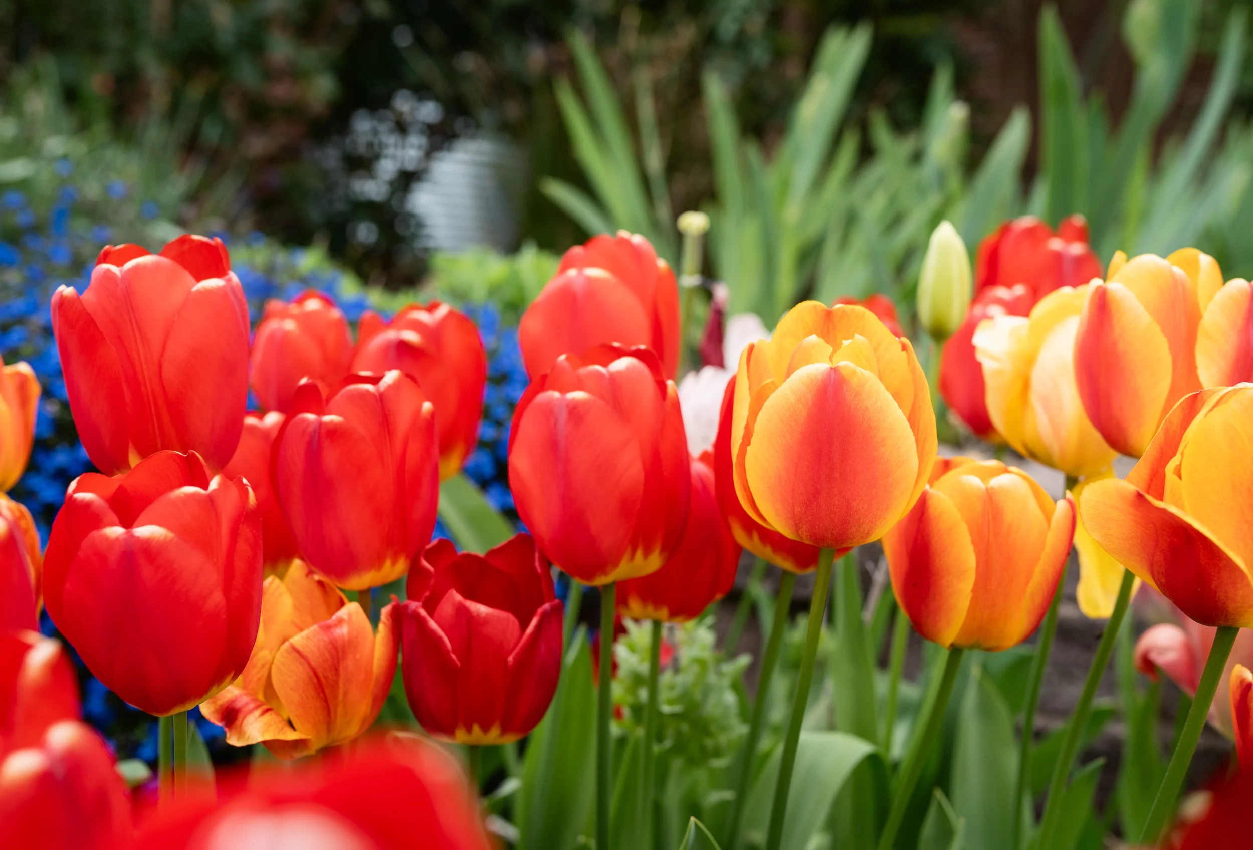 From Misplaced Hope to Risen Presence