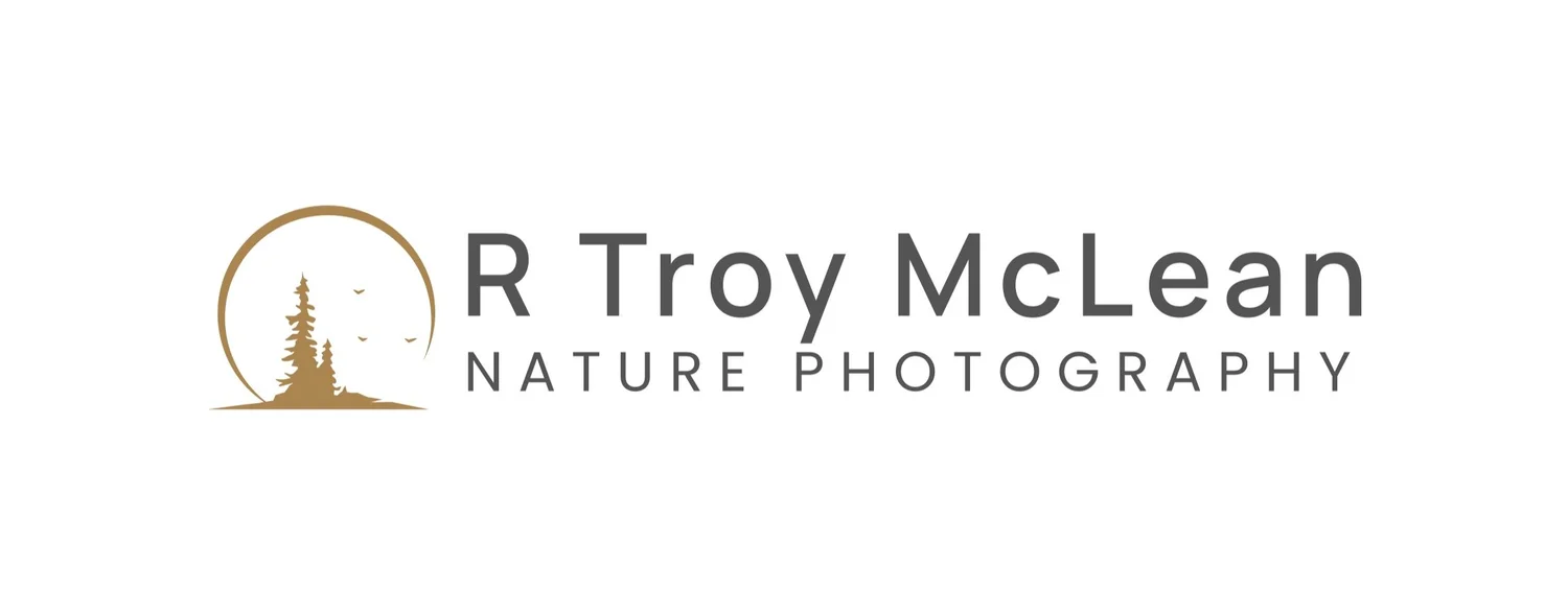RTROYMcLEAN Nature Photography