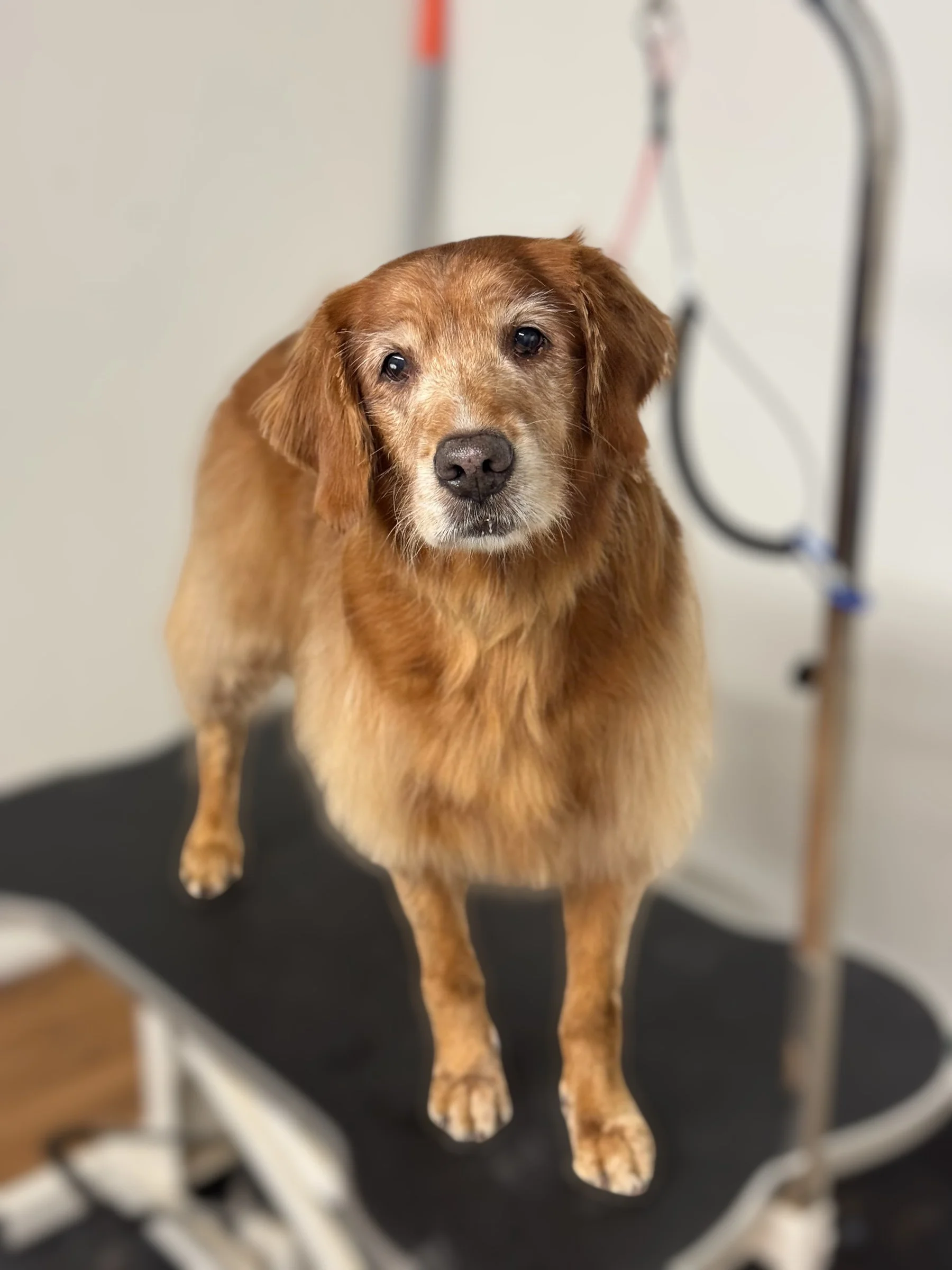 Monthly Bath Membership