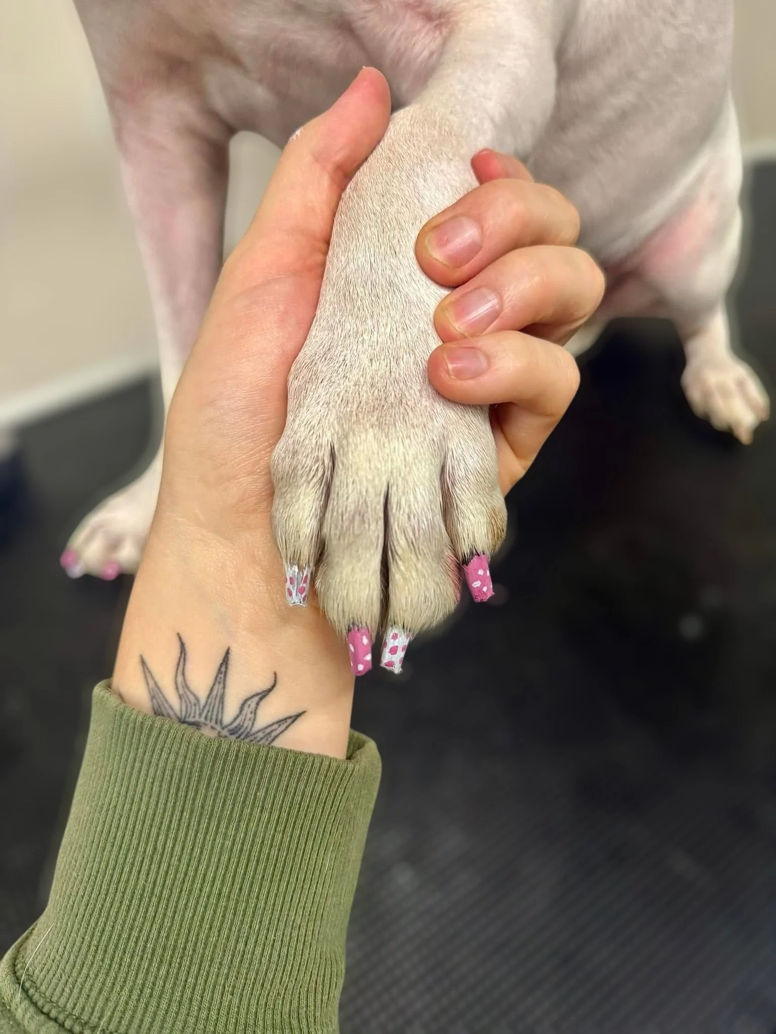 Monthly Nail Membership