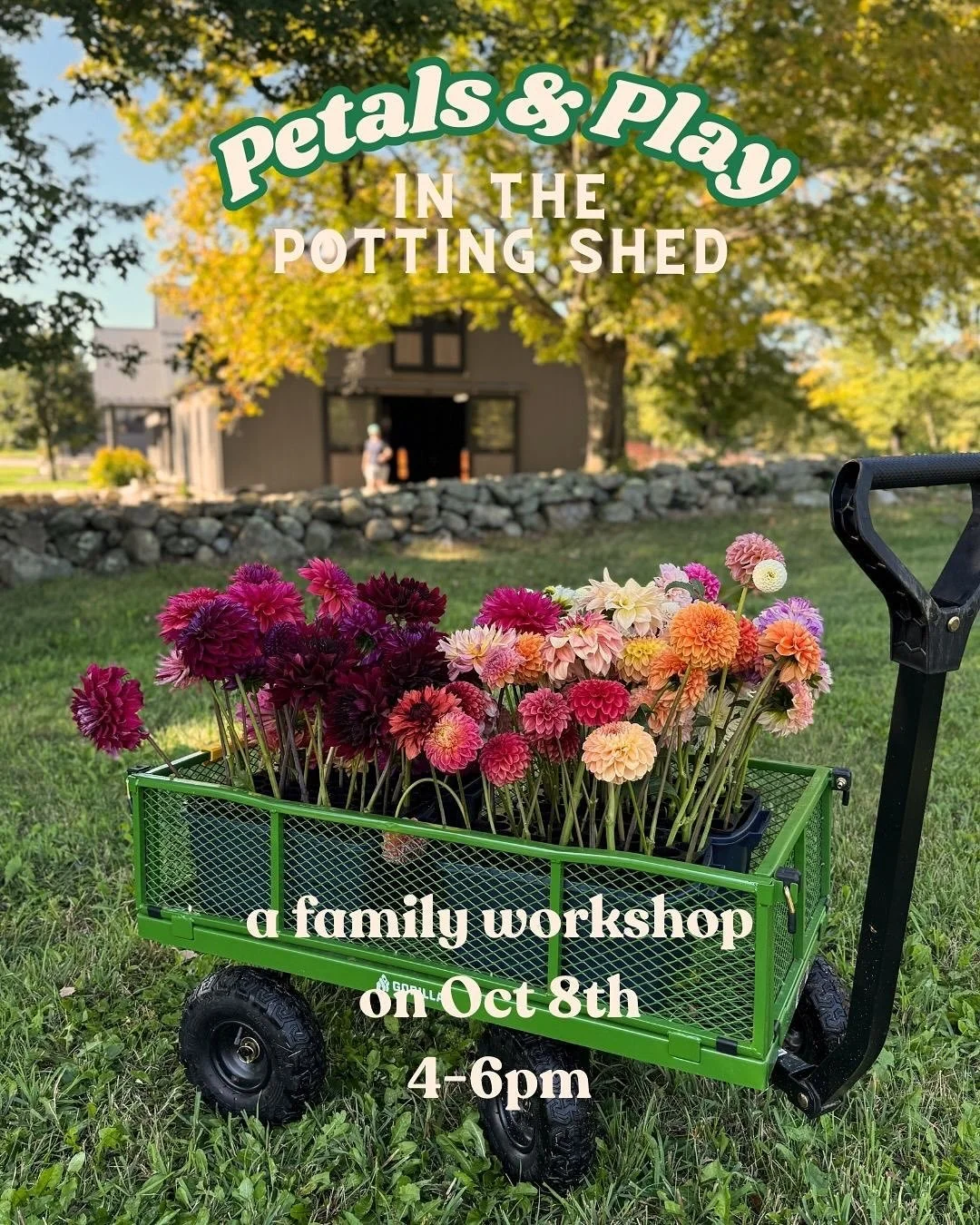 🌼 Introducing Petals &amp; Play: A Family Workshop in the Potting Shed at the Rowayton Community Center! 💛

Celebrate the last breath of summer with parents, kids, and friends&hellip; outdoors with flowers, art, and a little garden magic.

✨ For pa