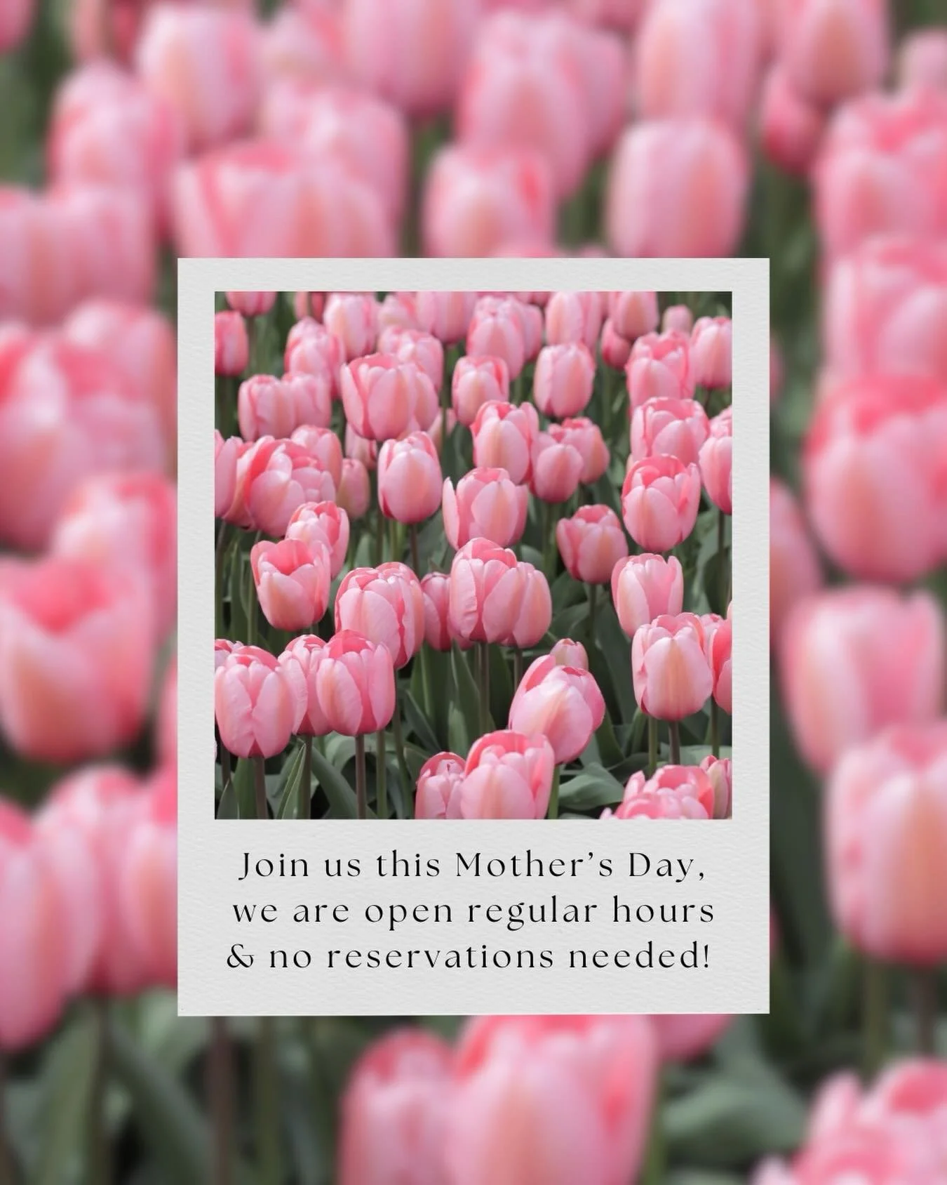 mother&rsquo;s day, the arden&rsquo;s way 🌸

we are open this sunday our regular hours with bouquets for purchase by @theflowerprojectct 💐, your favorite coffee ☕️, bubbles 🫧, &amp; a table waiting for you 🫶🏼

#ardensrowayton #mothersdayct #coas