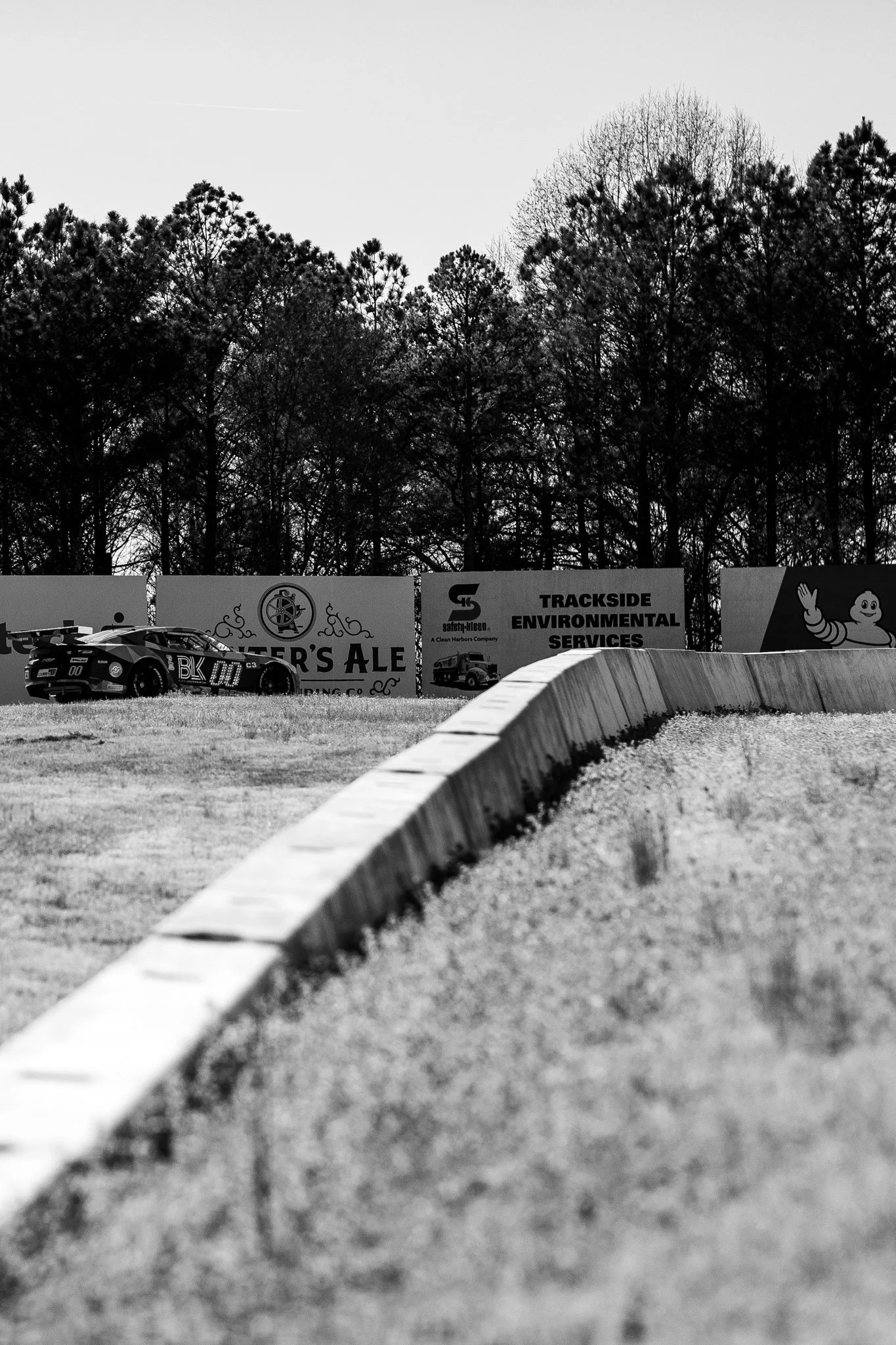 _A260356.jpg