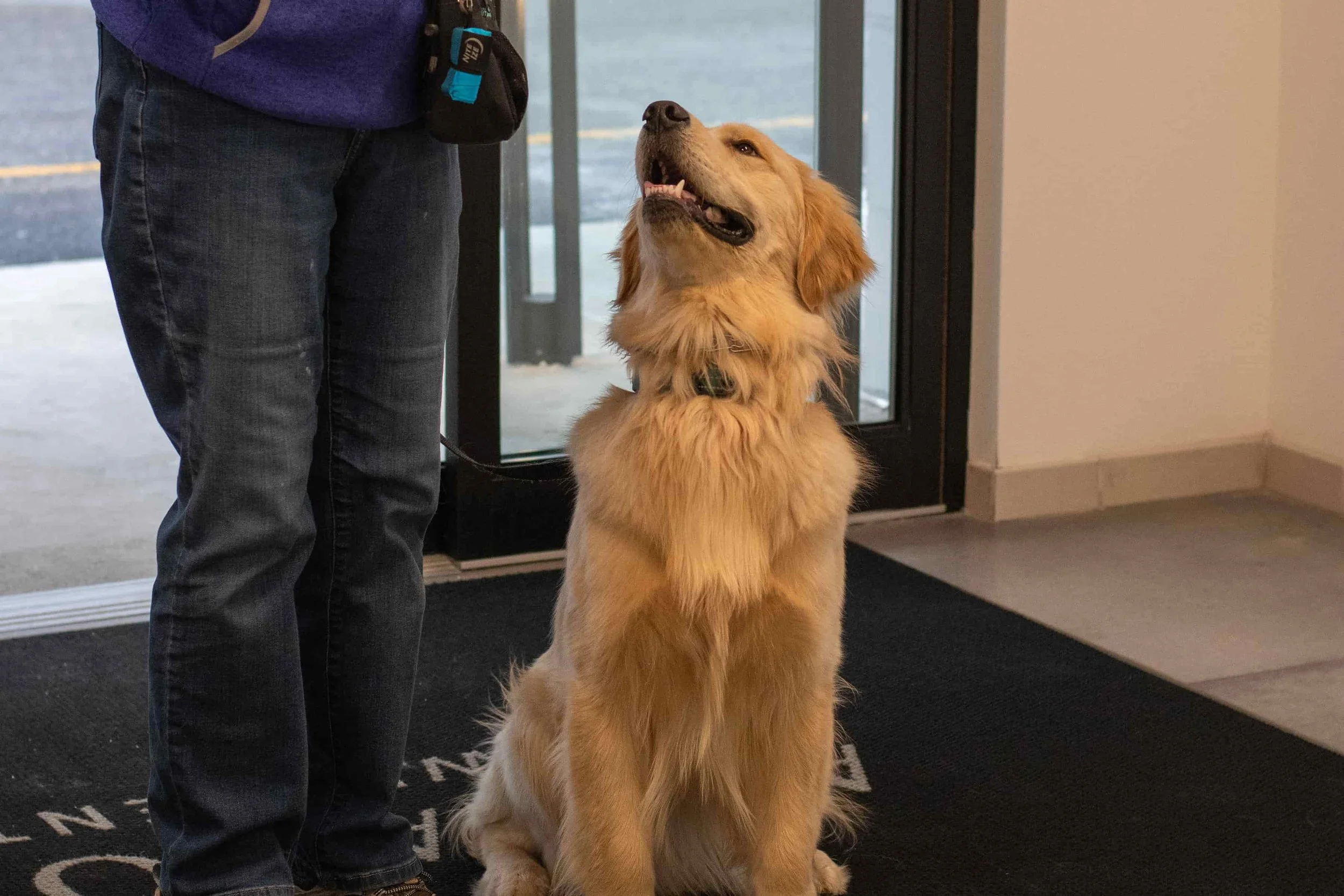 Intermediate Skill Checklist