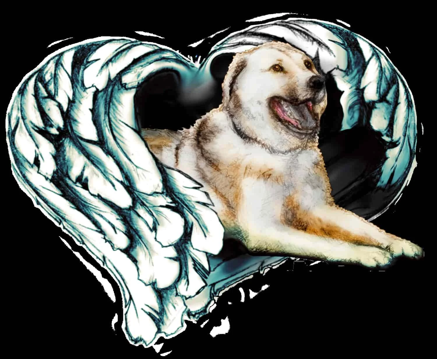 Logo or image for Most Fine Canine, service dog training