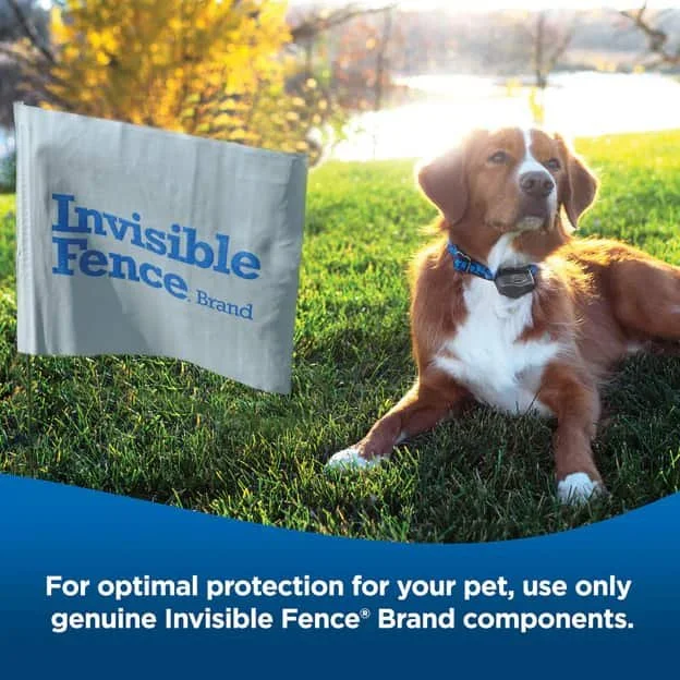 Logo or image for Invisible Fence Maryland, pet containment systems