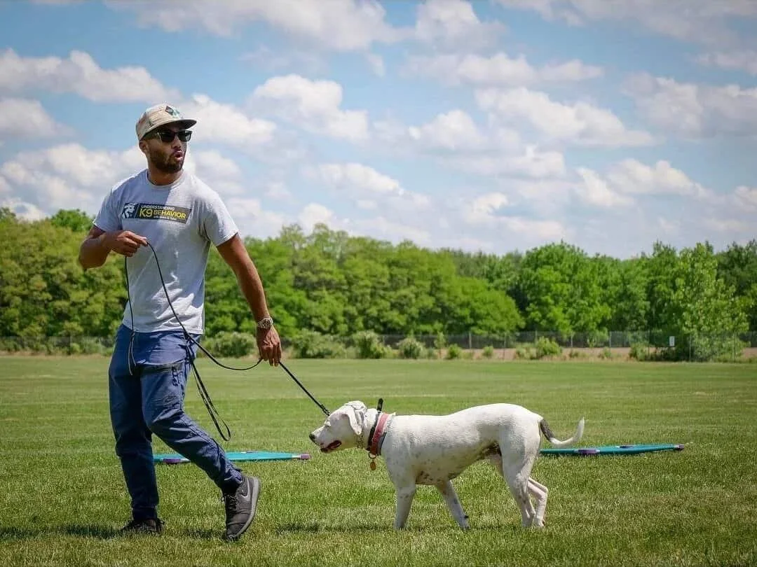 Logo or image for Dream Come True K9, New York and Staten Island clients