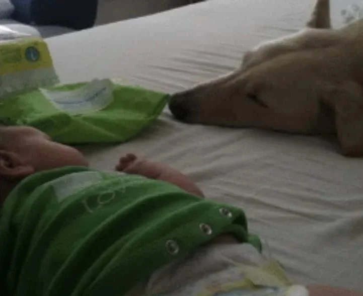 Dog napping on a bed next to a baby.
