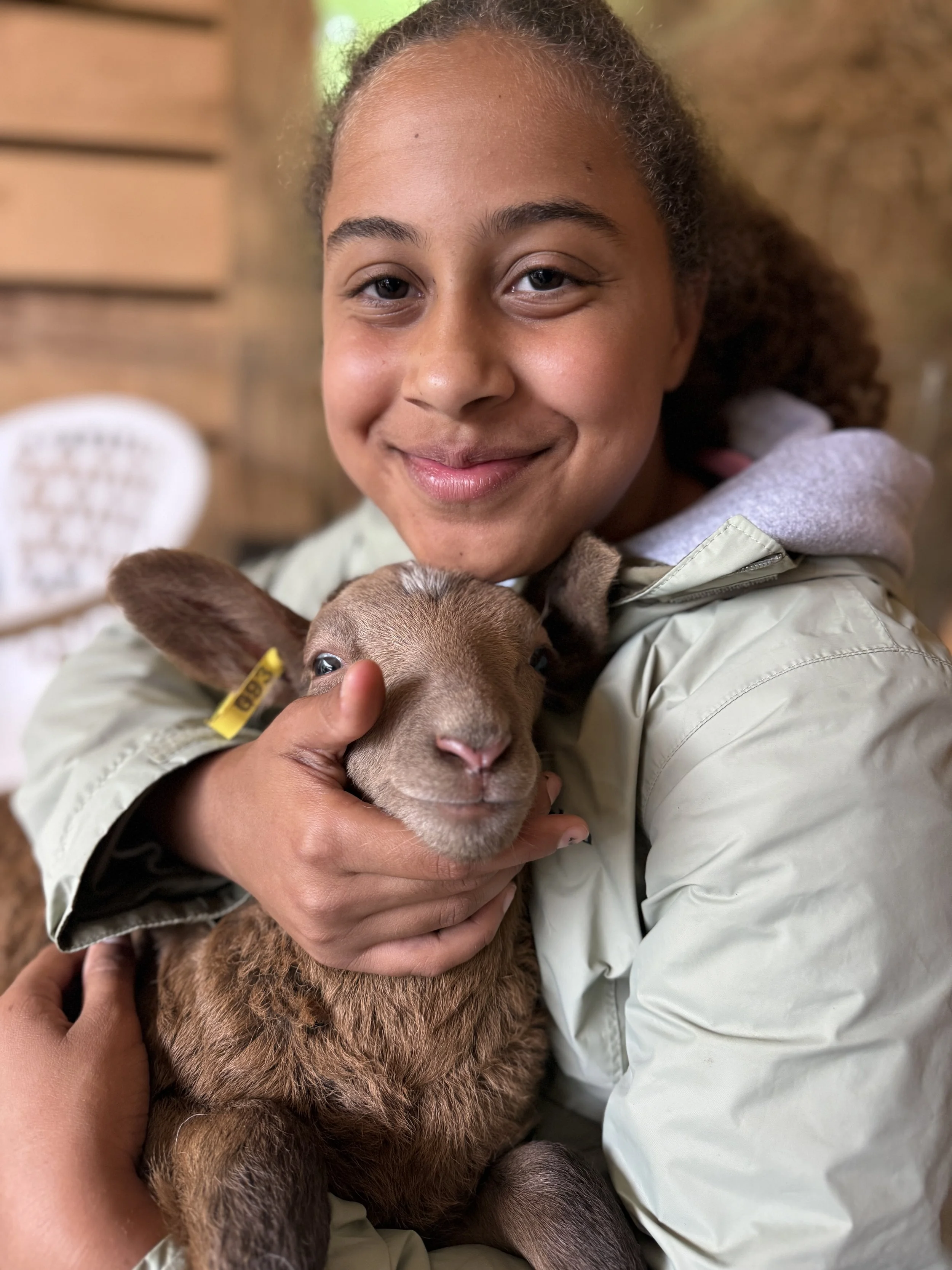 Hadley hugging a sheep