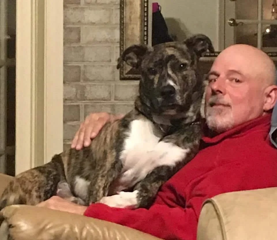A man on a couch with a brindle and white dog resting on his lap