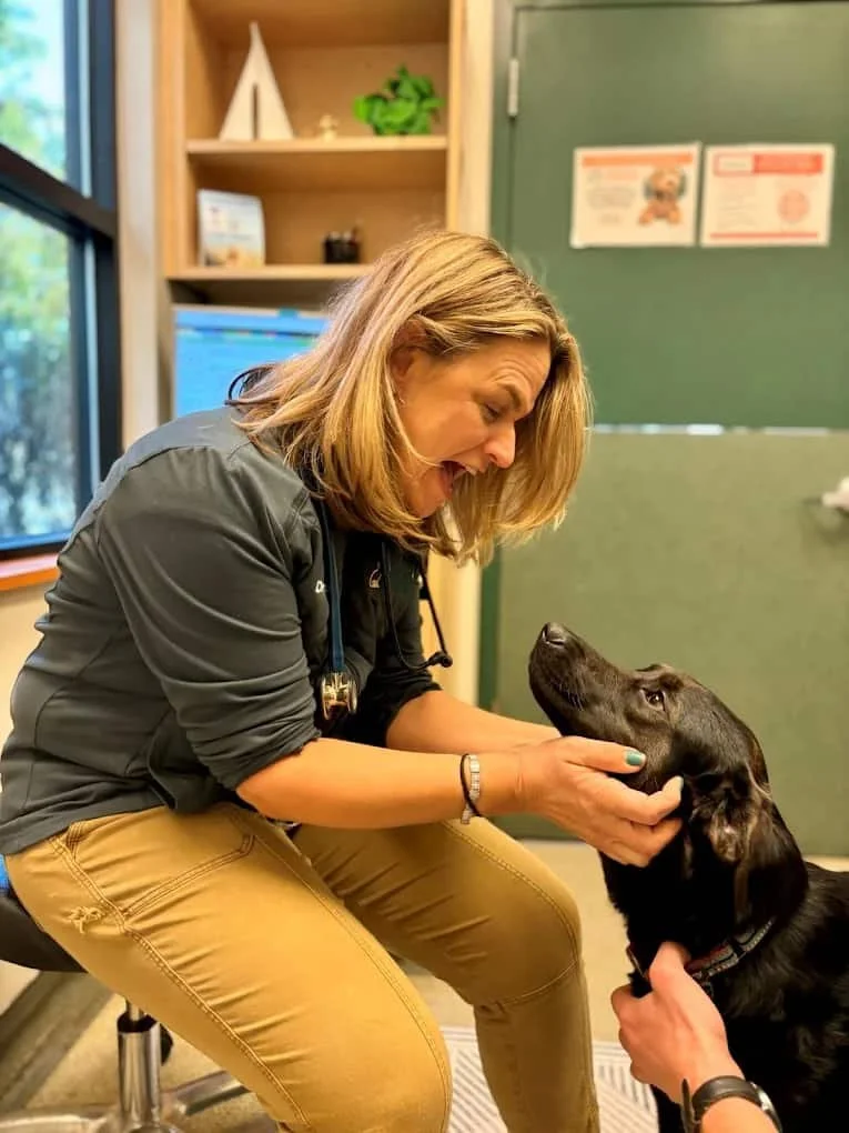 Logo or image for Hoffman’s Animal Hospital, small daycare, pet sitting, and dog walking services