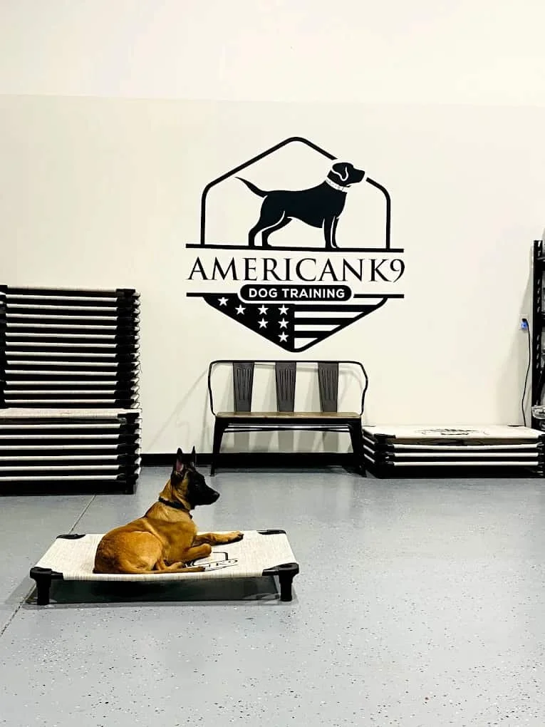 Logo or image for American Canine, training for extreme human or dog reactions