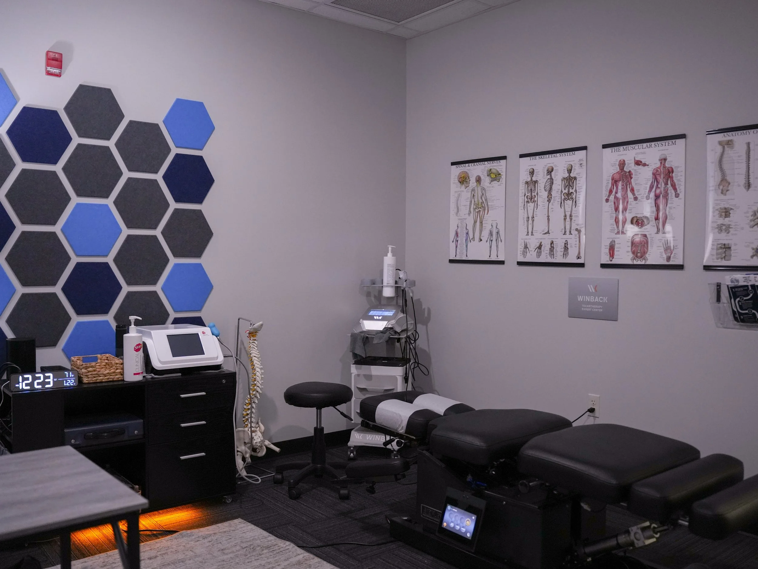 Medical or therapy examination room with posters of human anatomy on the walls, a padded examination table, a stool, medical equipment, a skeleton model, and various medical supplies.
