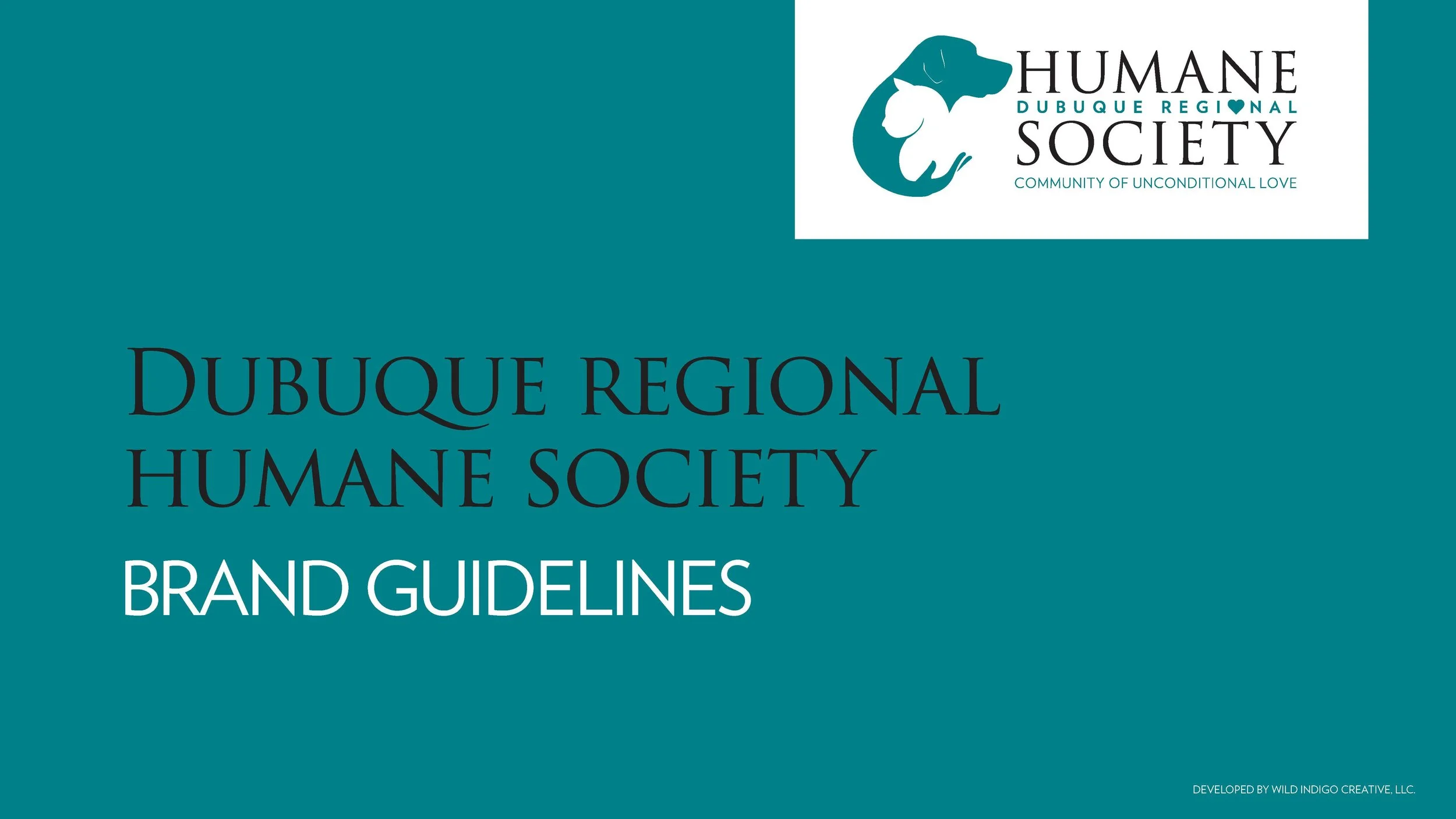 DRHS Branding Guidelines-Calming Teal_Page_01.jpg