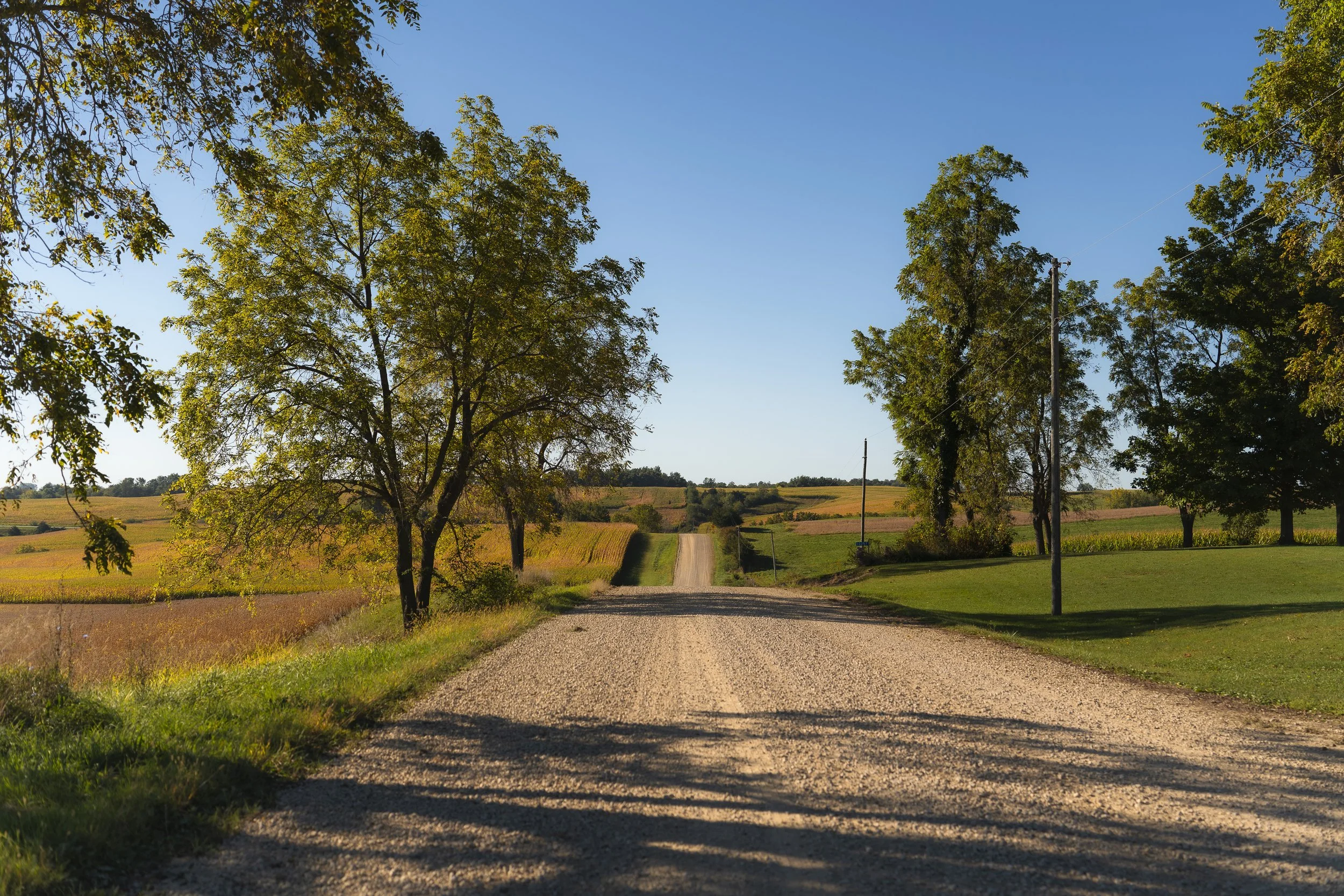 Country Road with Sun Rays.jpg