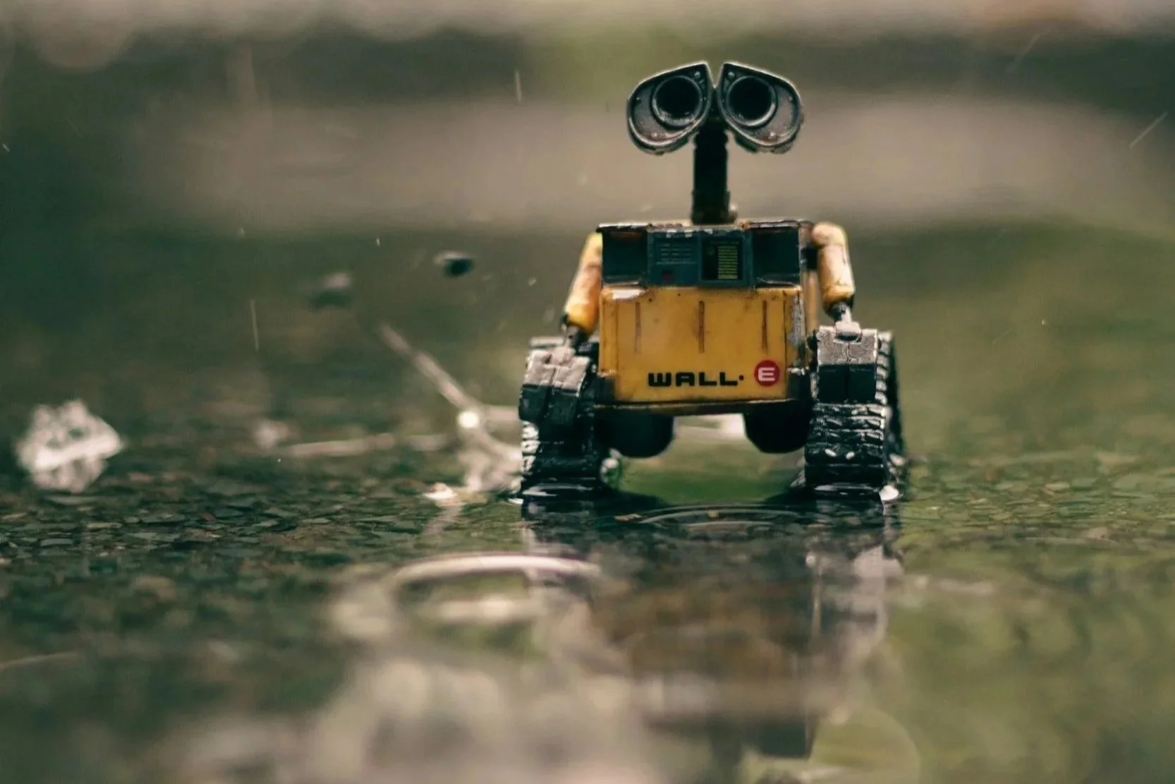A small robot resembling WALL-E from the animated movie, walking through rain puddles on a wet surface.