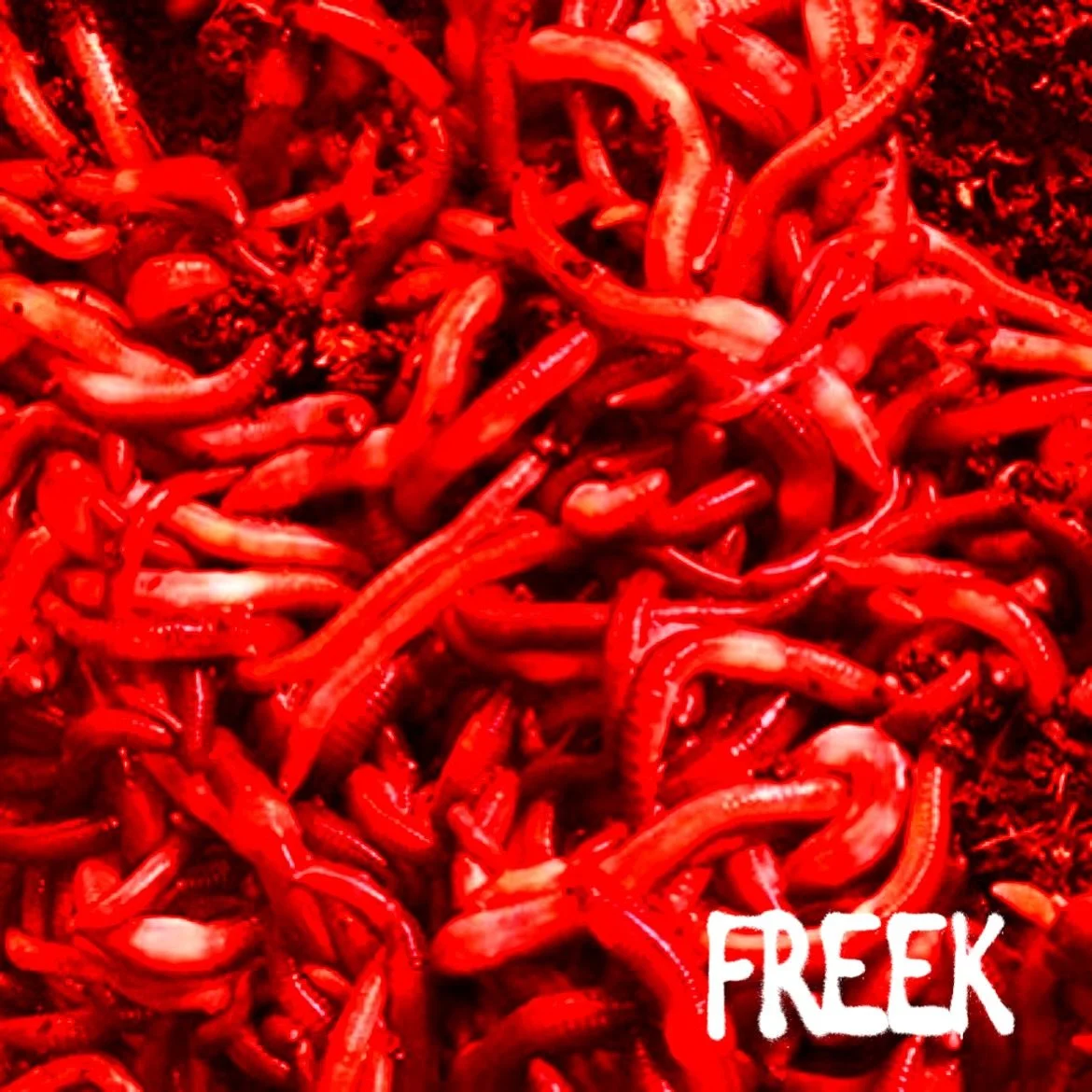Freek 2 Piece 
this freeky friday 
2 songs 
PRAY4THEFUTURE