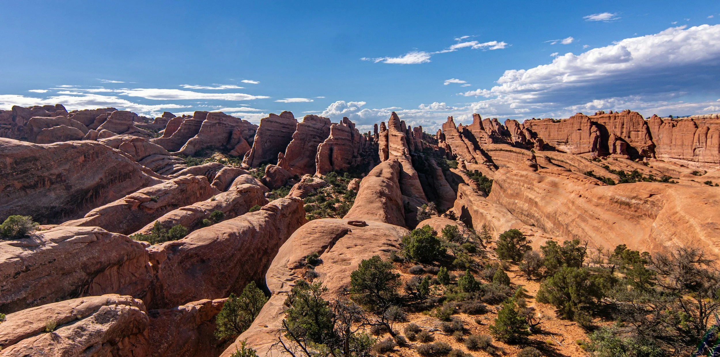 A scenic view of red sandstone rock formations and cliffs under a blue sky with scattered clouds, with desert vegetation at the foreground.