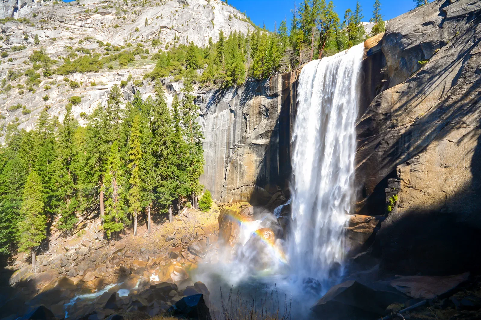 A tall waterfall cascading down a rugged mountain into a lush green forest at the base, with a prominent dead tree in the foreground and pine trees surrounding the area.