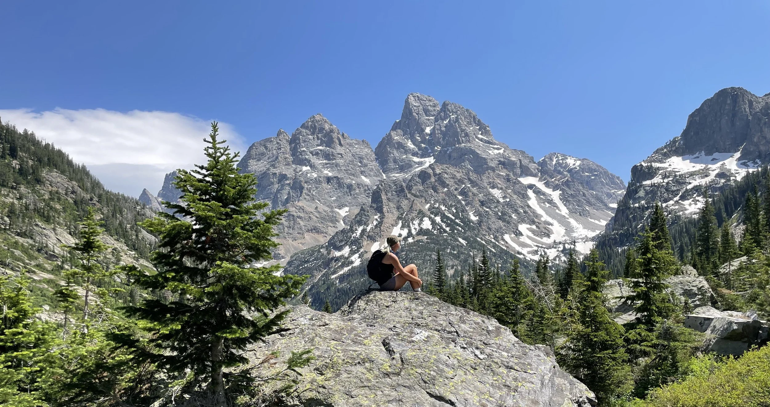 A person sitting on a large rock surrounded by pine trees, overlooking snow-capped mountain peaks under a blue sky in a mountainous landscape.
